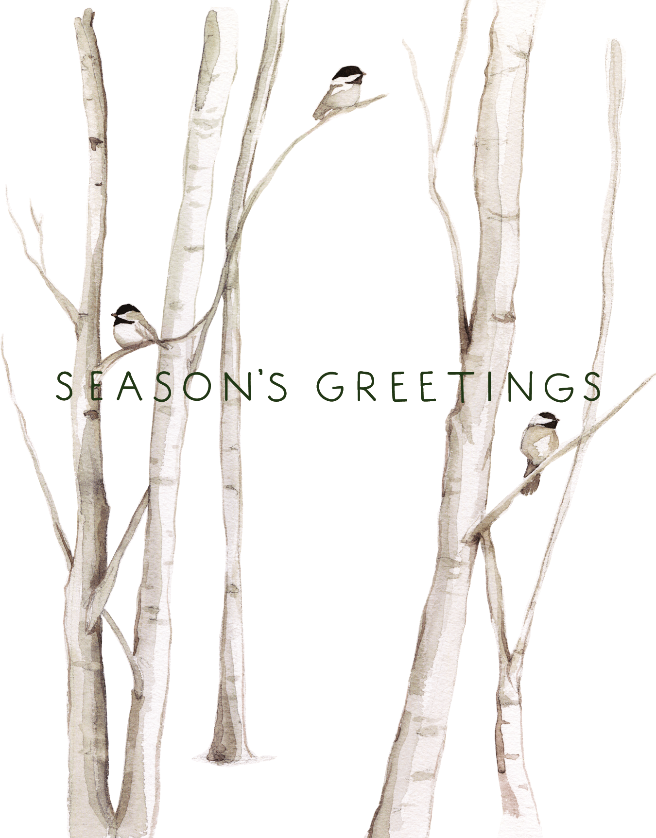 Snowy Birches