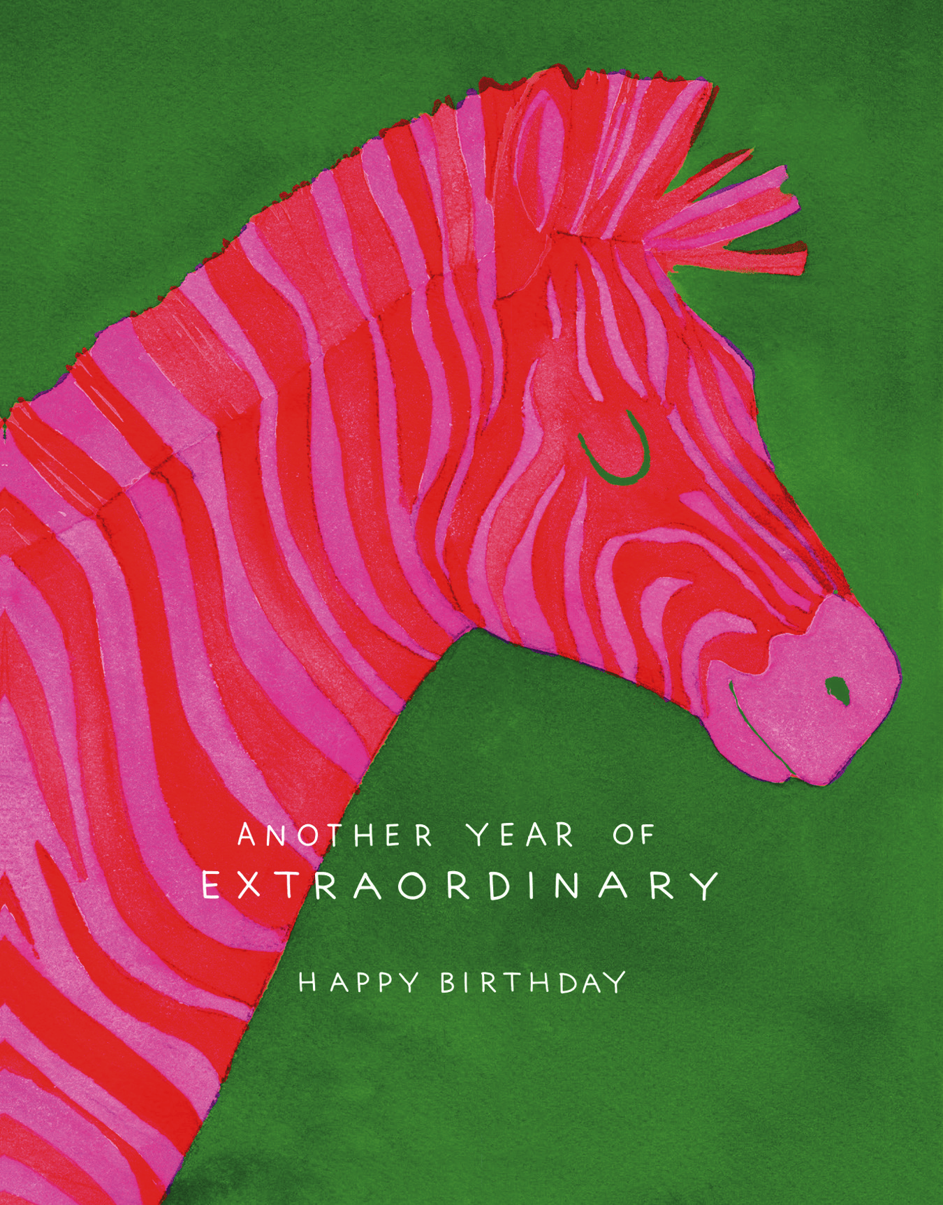 Extraordinary Zebra