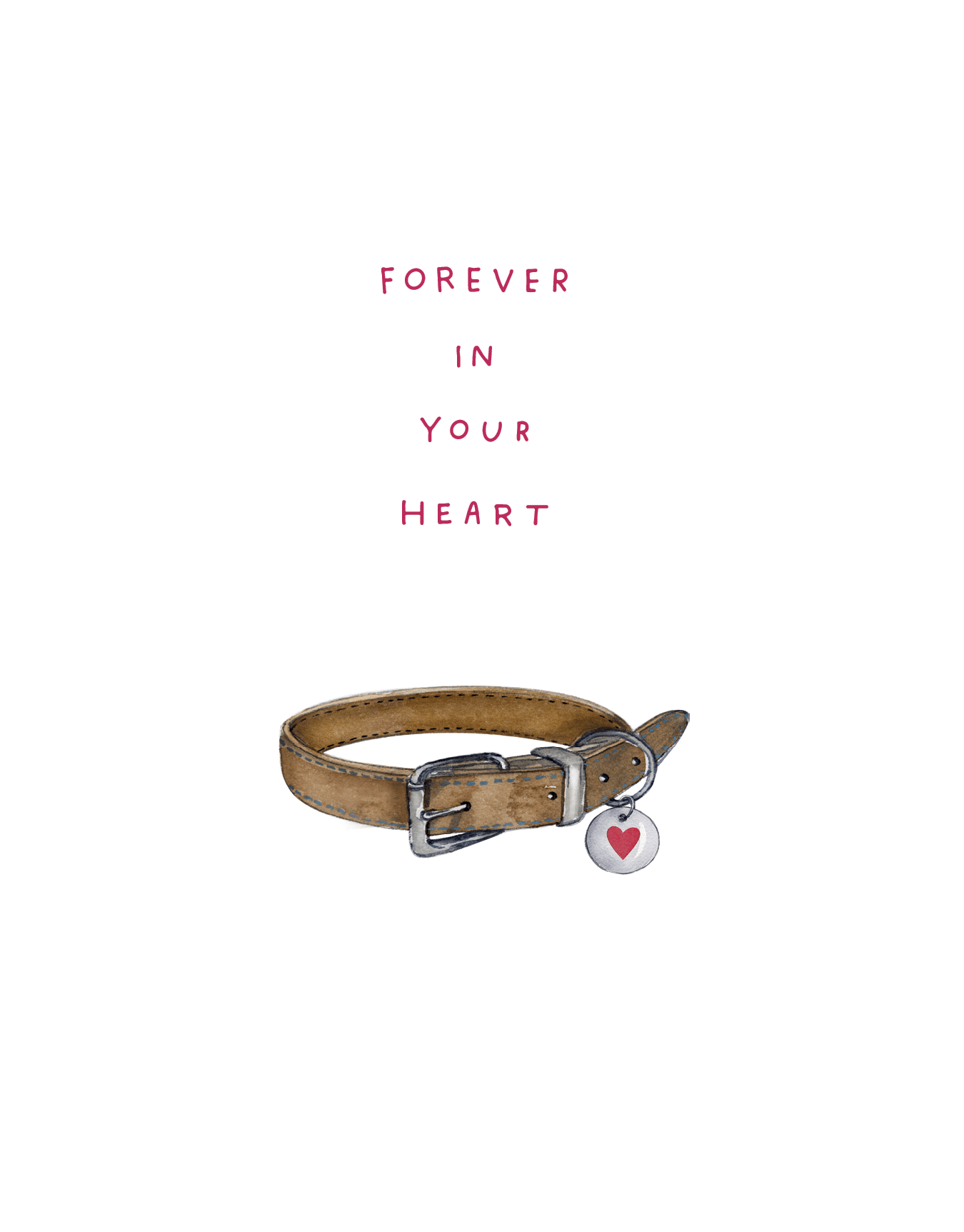 Pet Collar