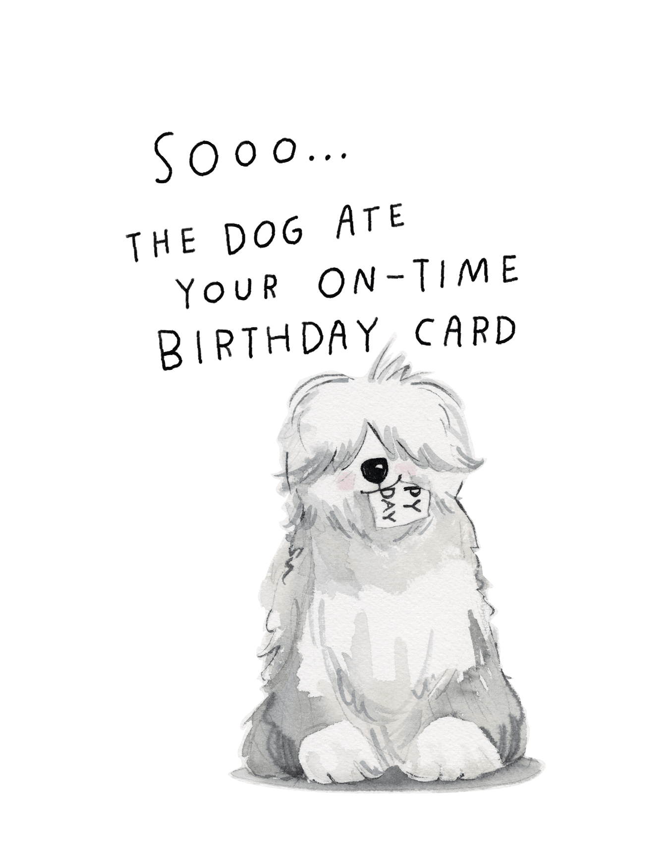 Sheepdog Belated