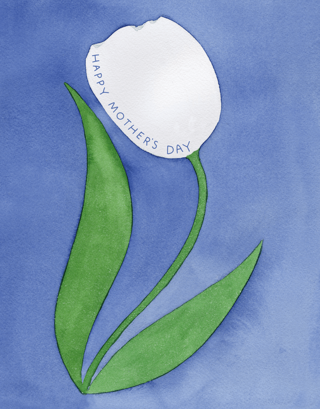 Tulip Mom