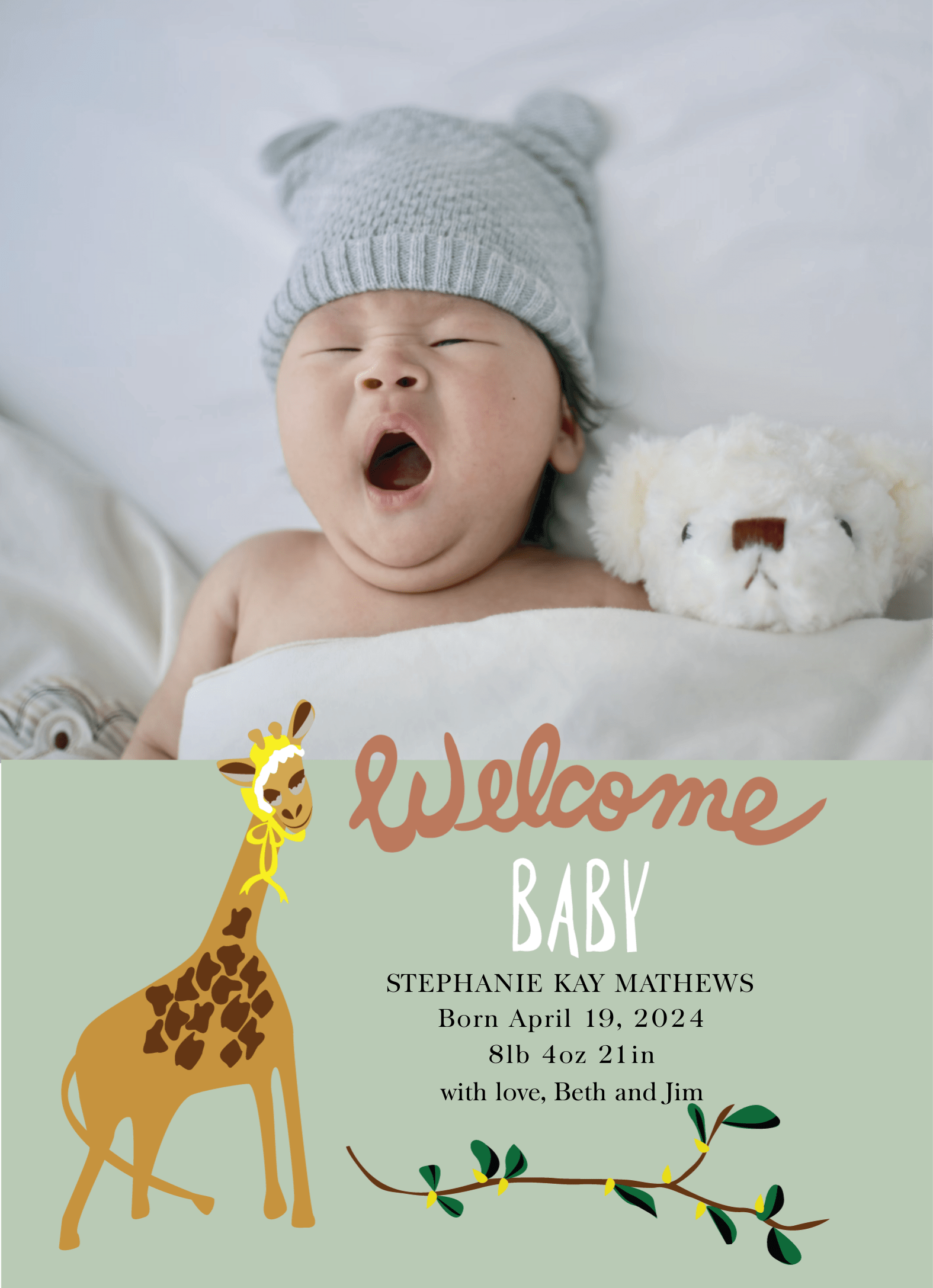 Baby Giraffe 