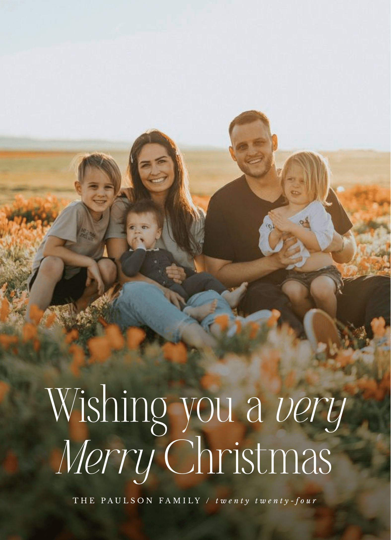 Holiday Elegant Serif