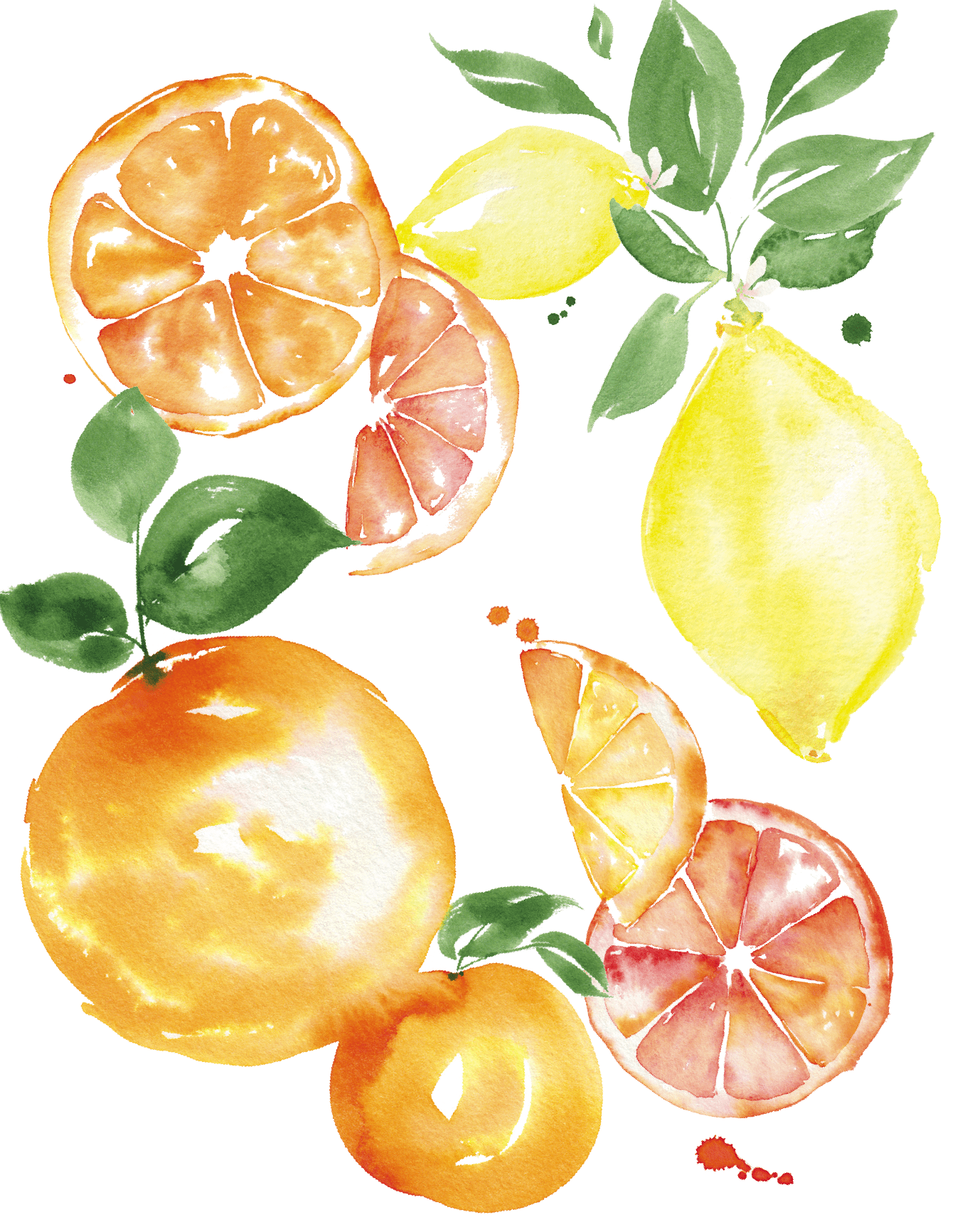 Citrus