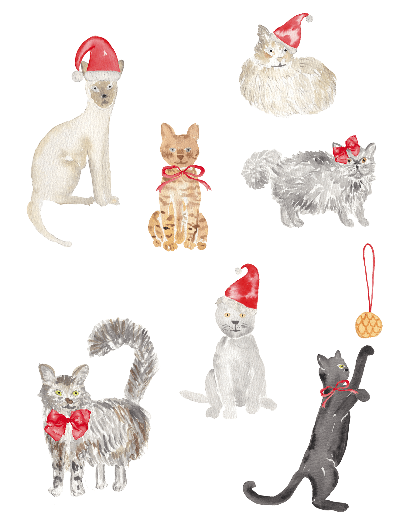 Christmas Cats