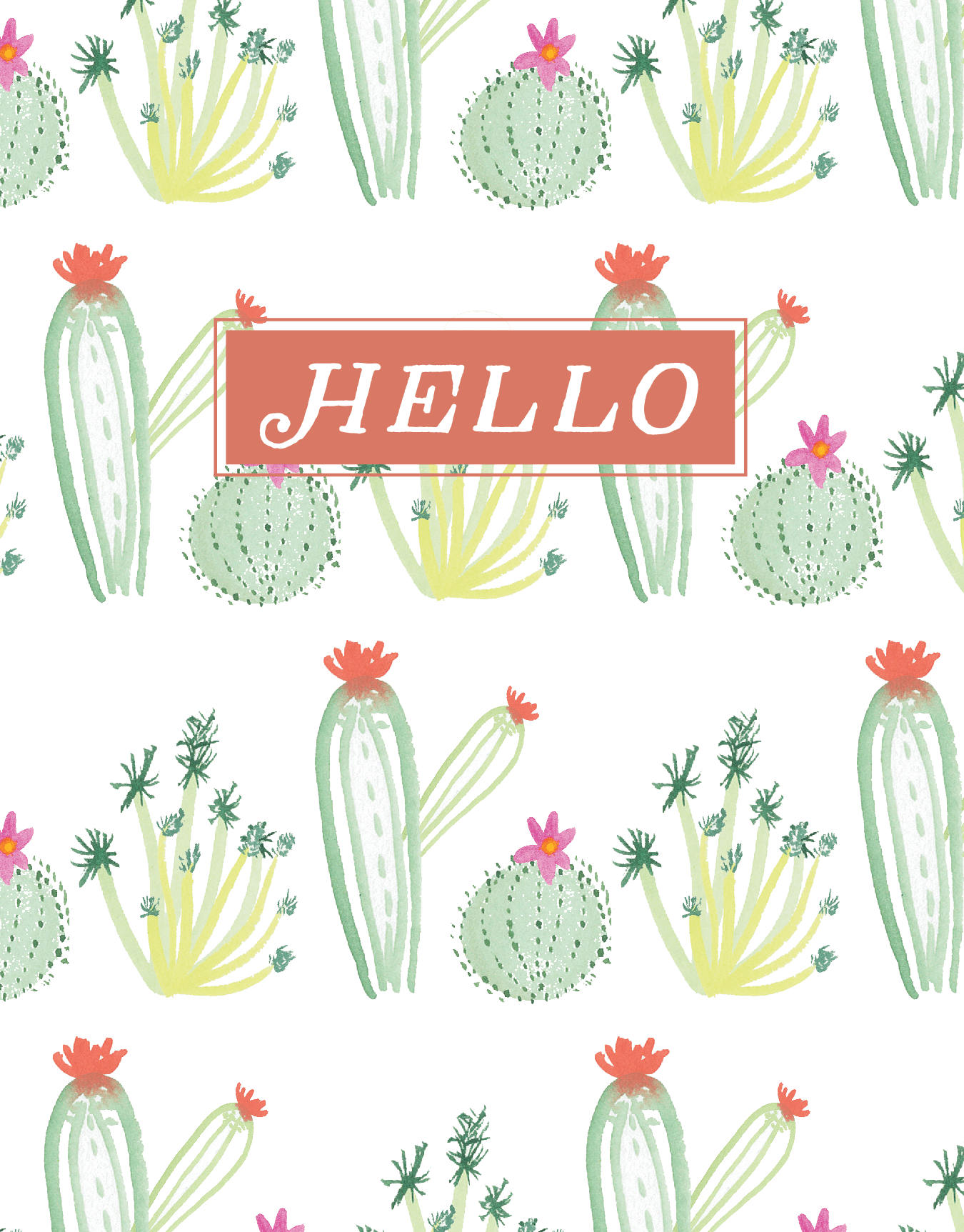 Hello Succulents