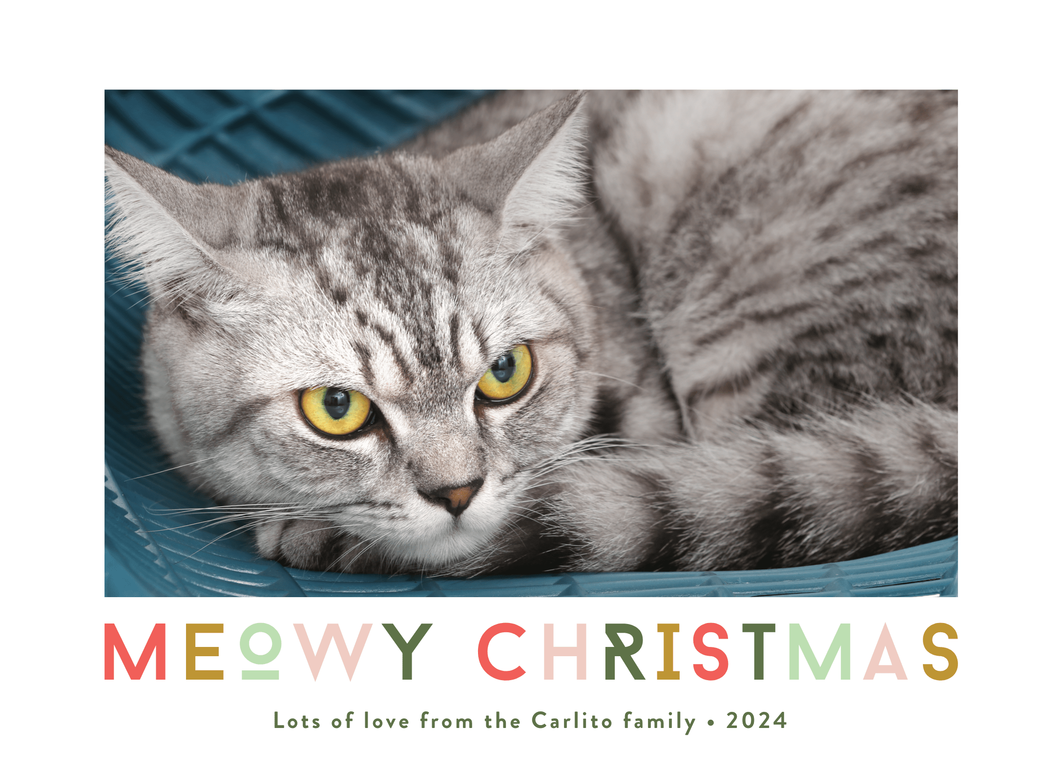 Meowy Christmas