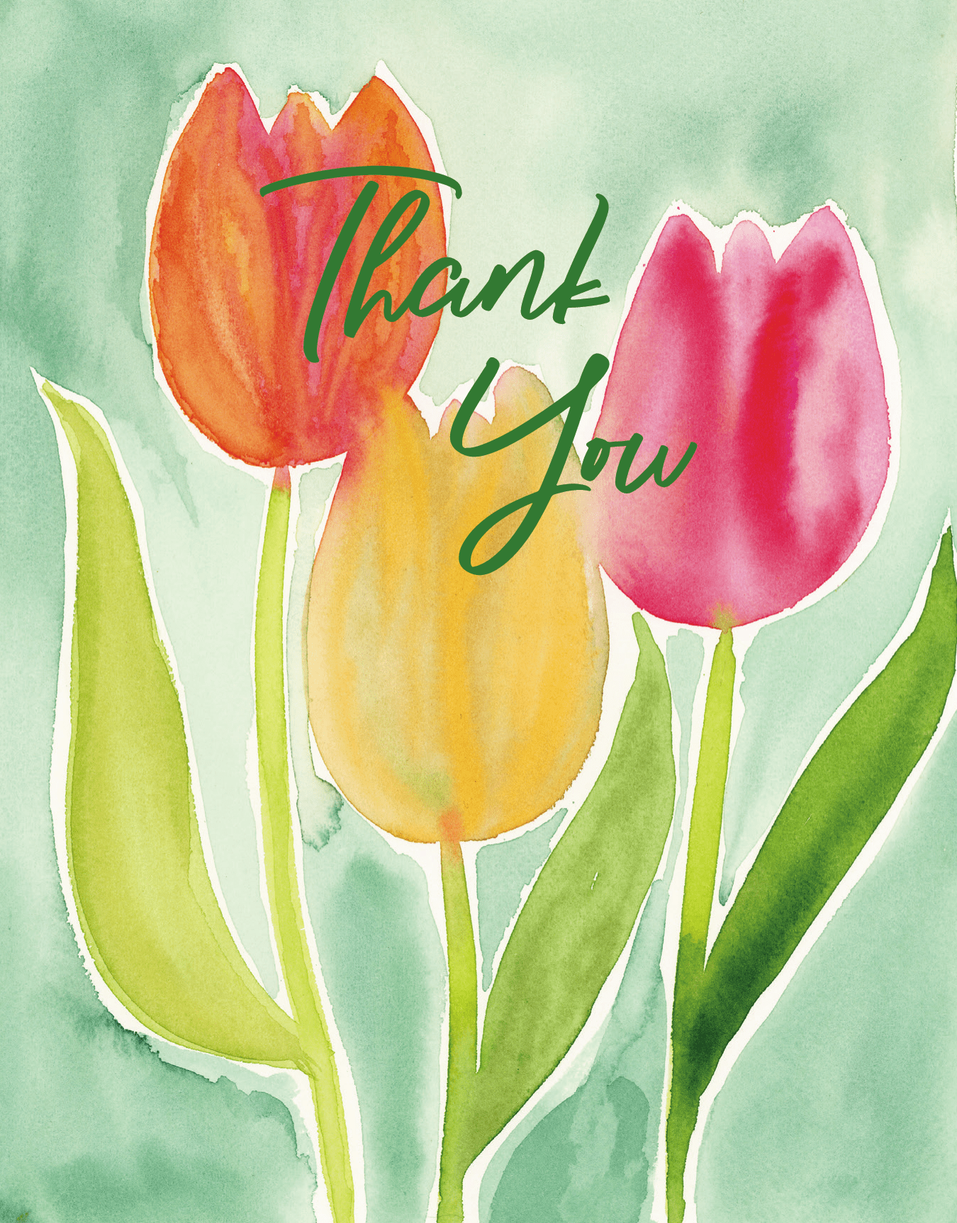 Thanks Tulips 