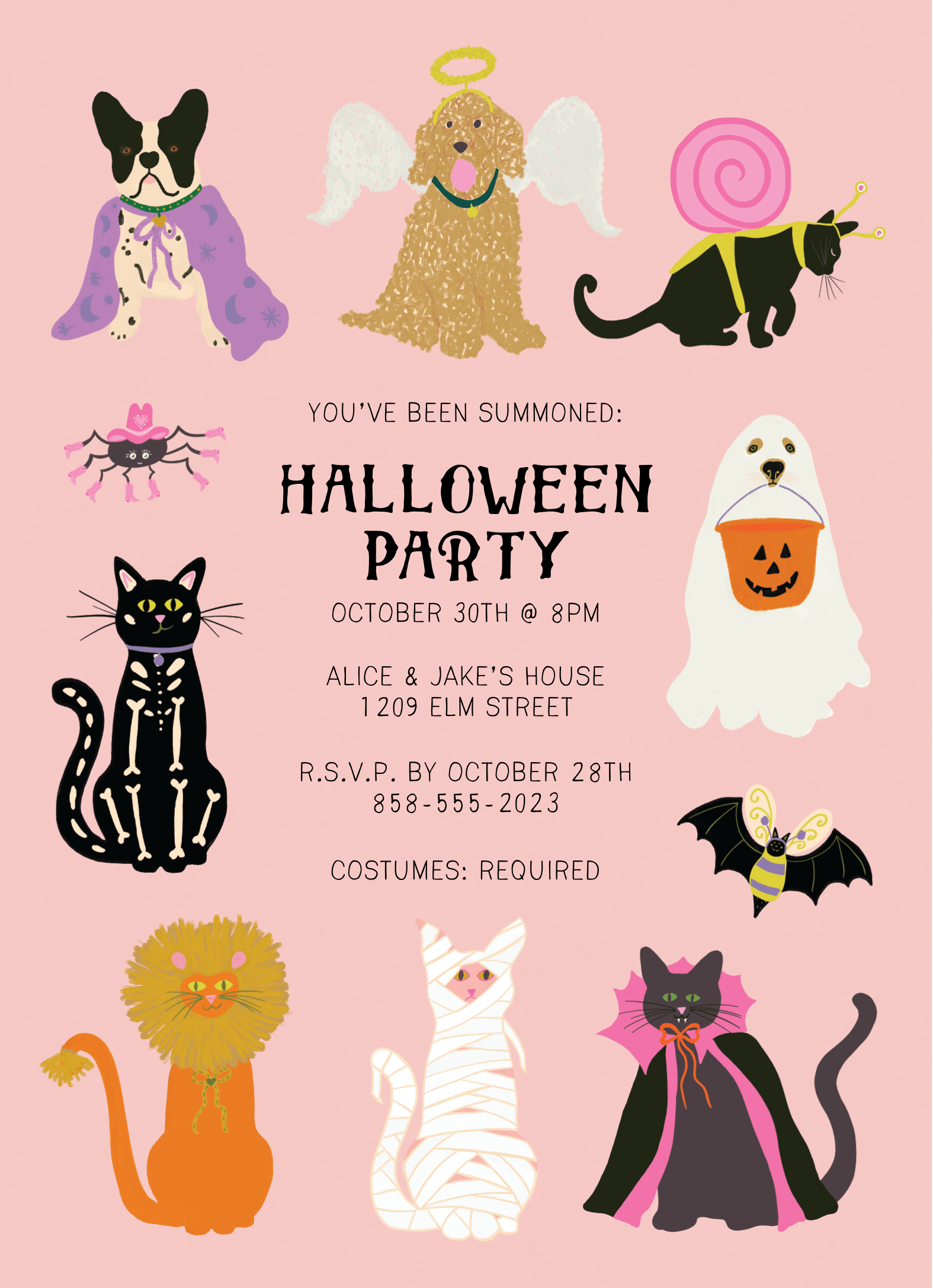 Costume Party Pets