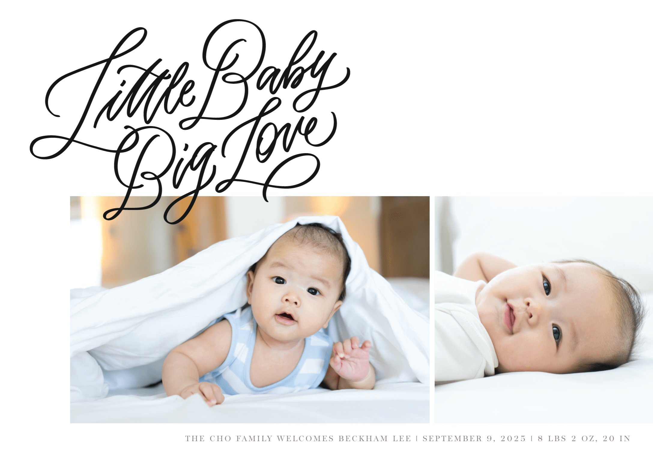 Little Baby Big Love