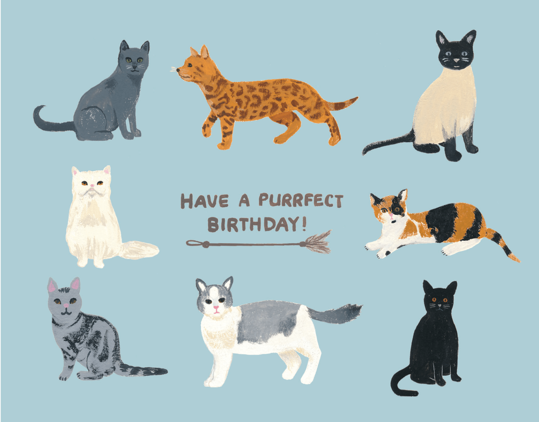 Birthday Cats