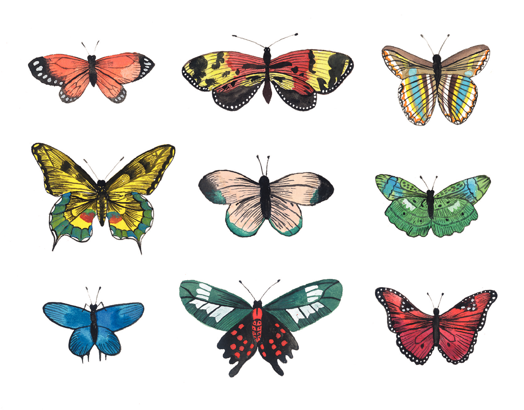 Butterflies