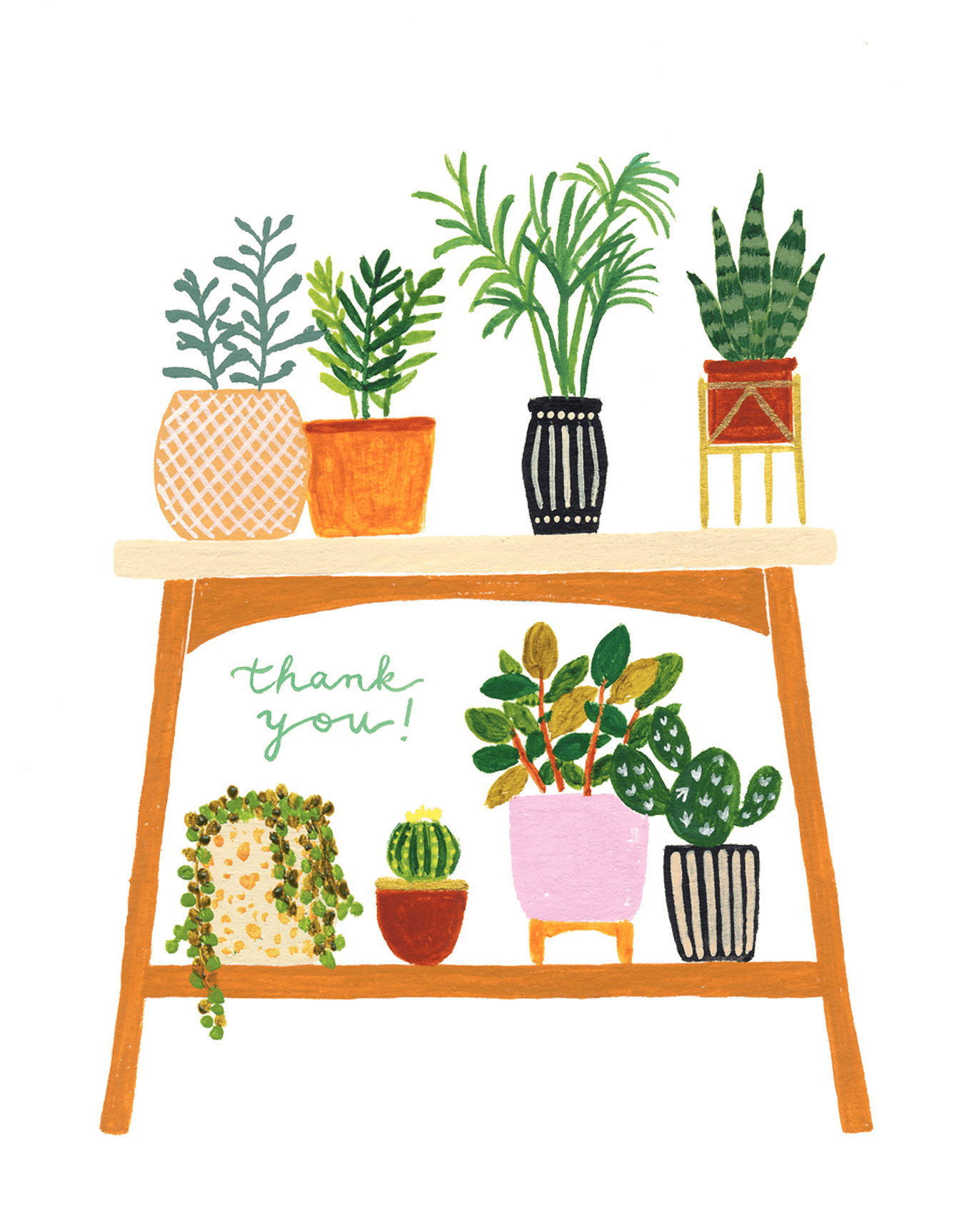 Houseplants