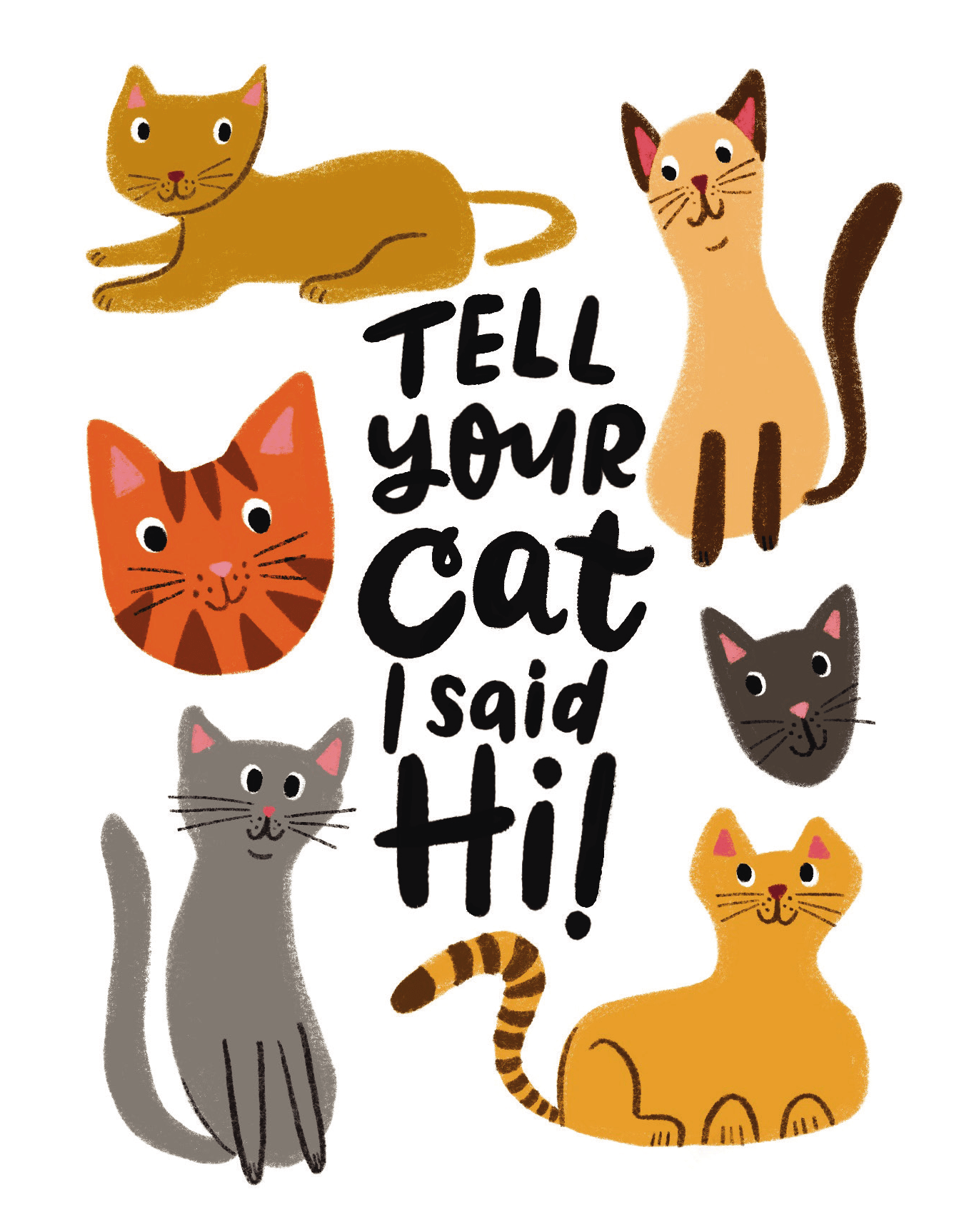 Tell Your Cat I Said Hi
