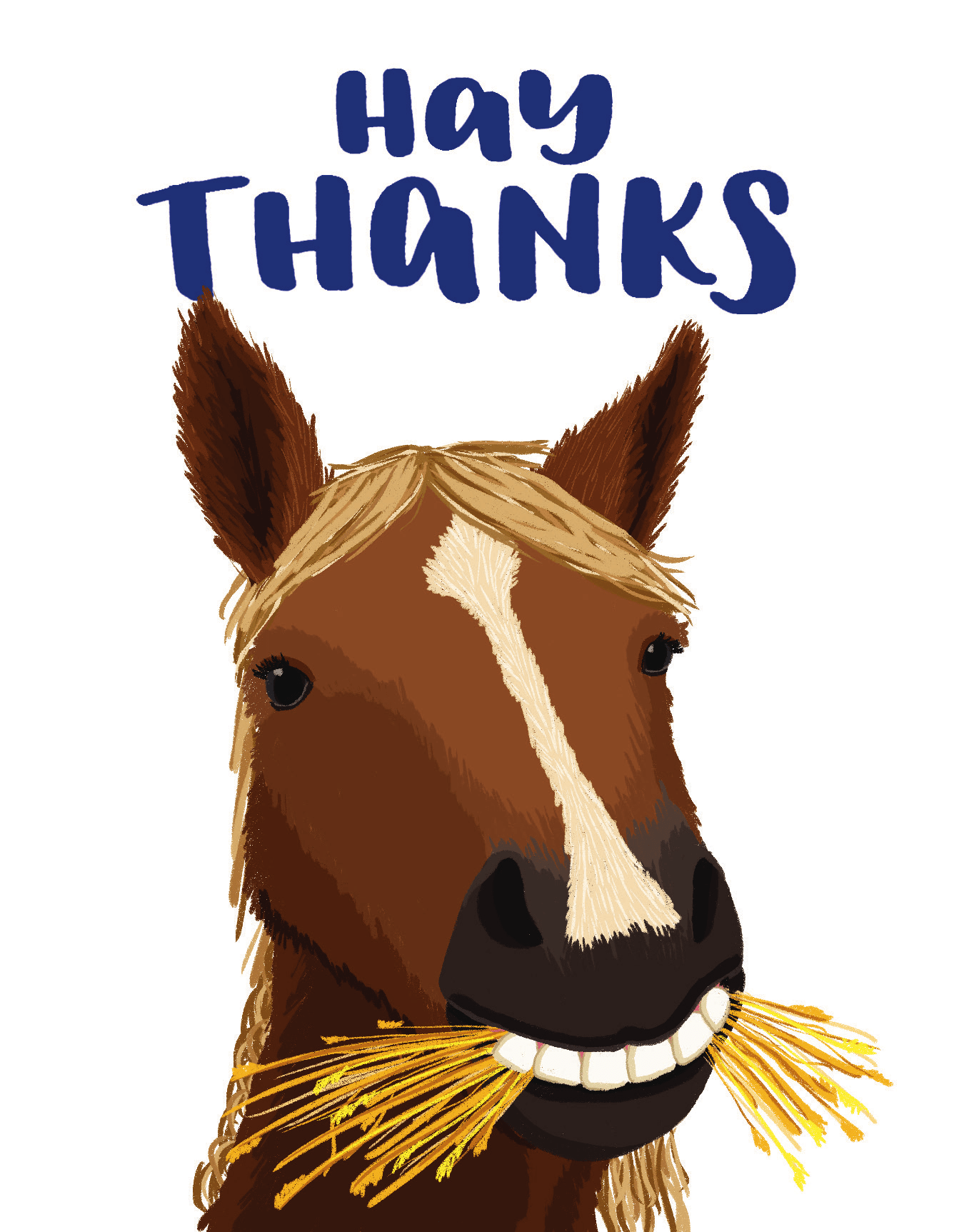 Hay Thanks