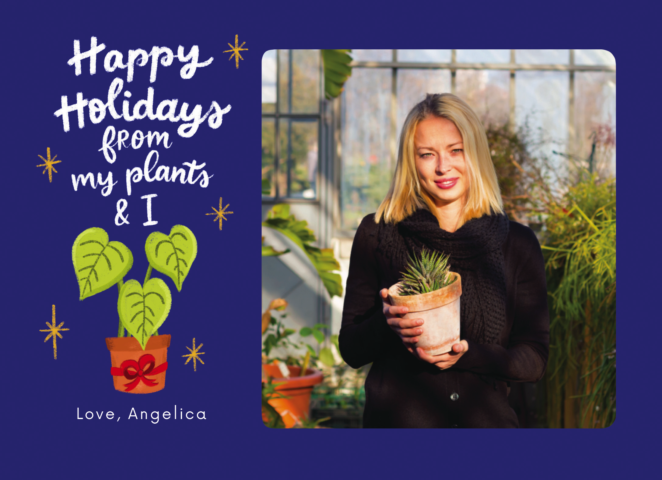 Holiday Plants