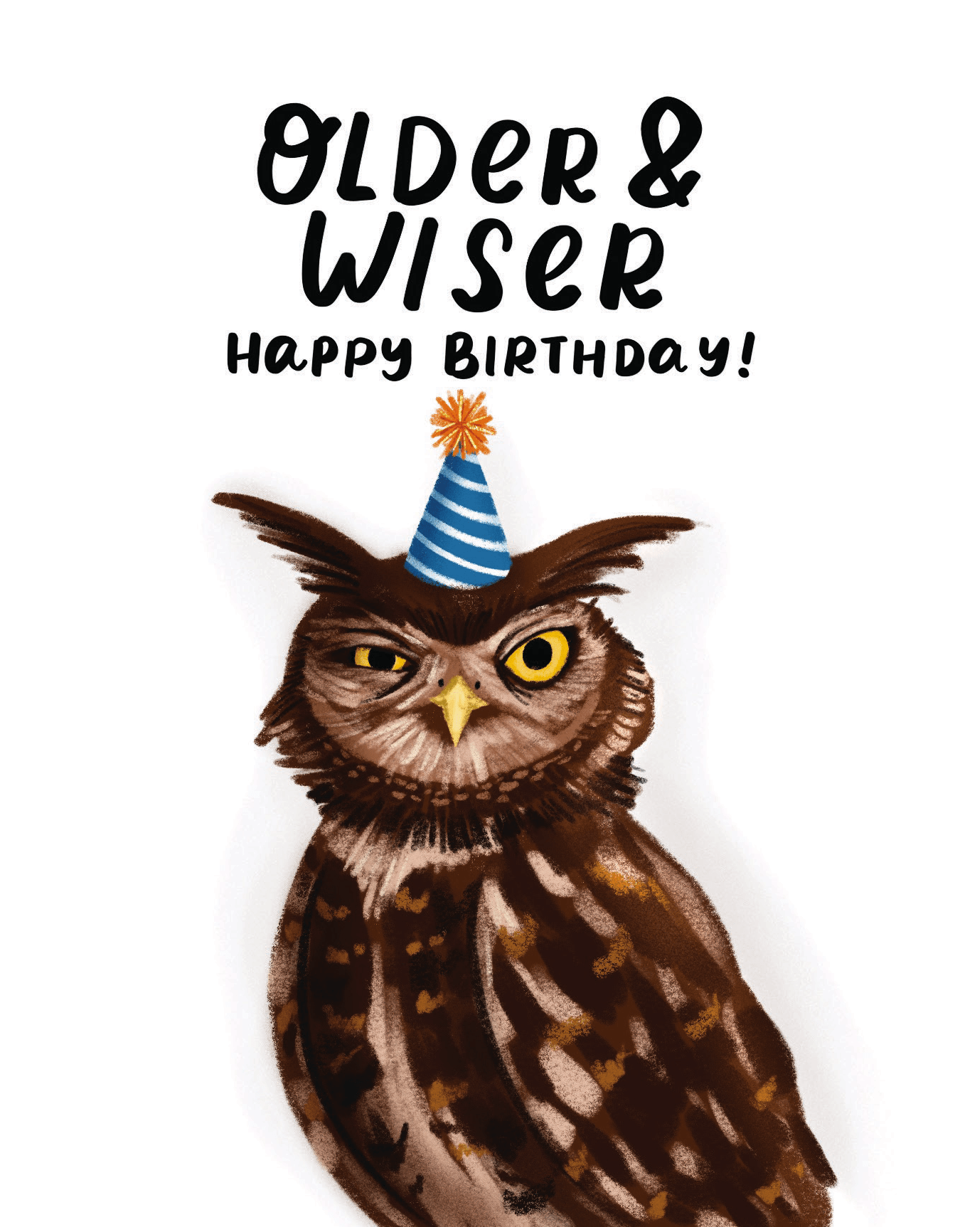 Wise Owl Birthday