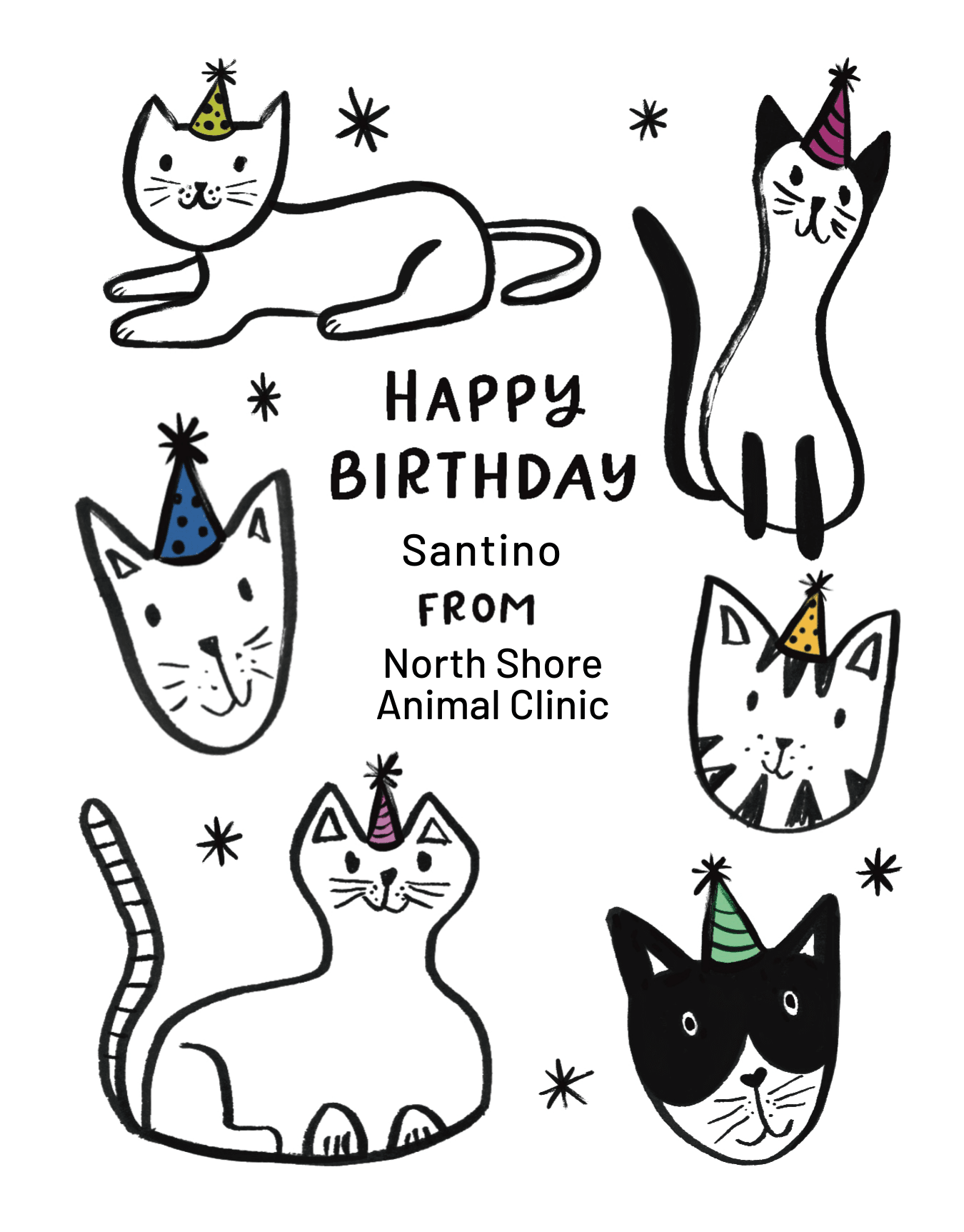 Business Cat Birthday