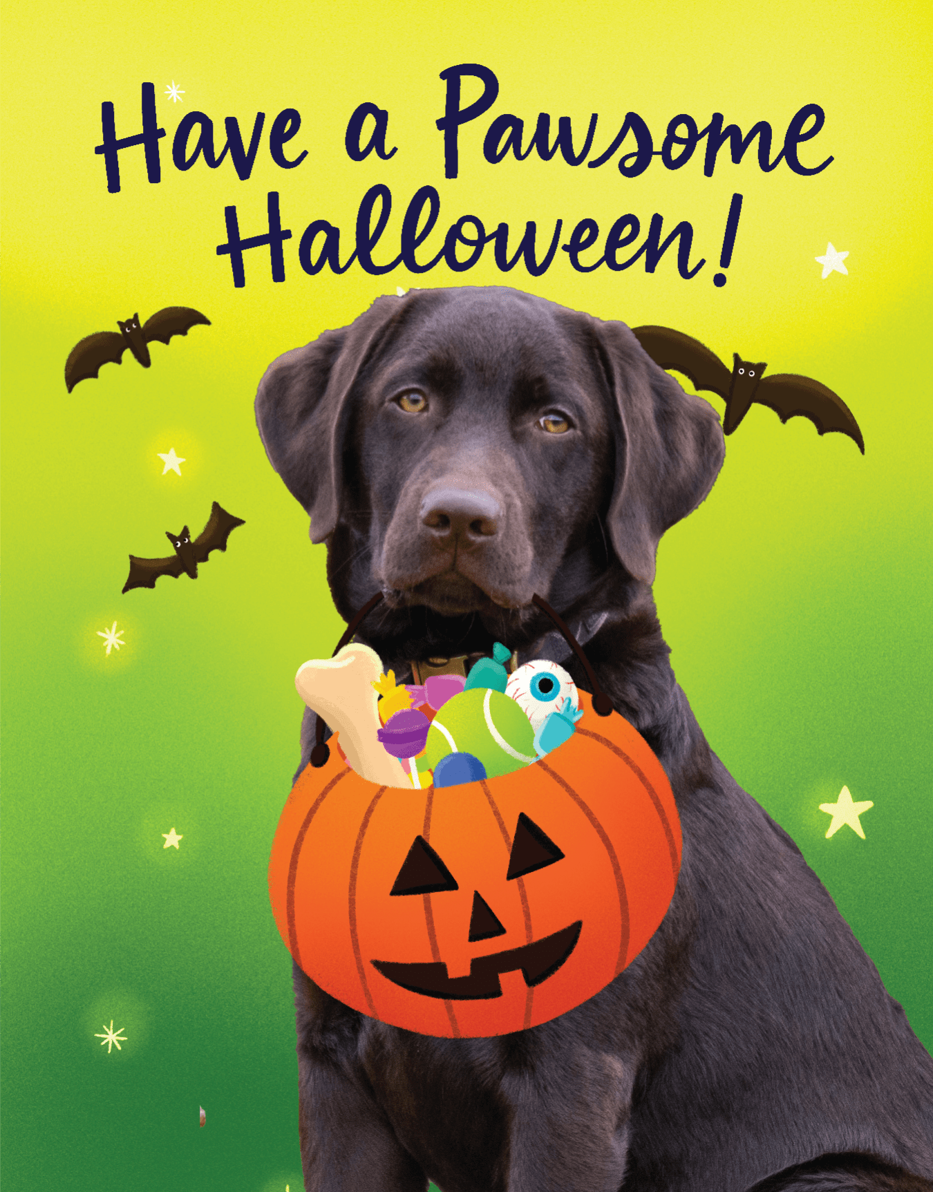 Dog Halloween
