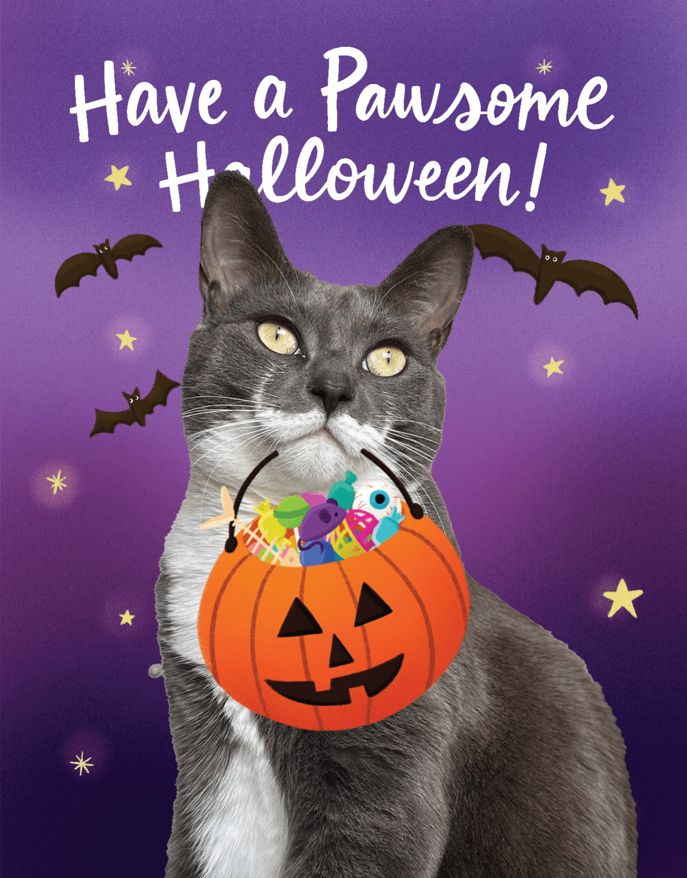 Cat Halloween