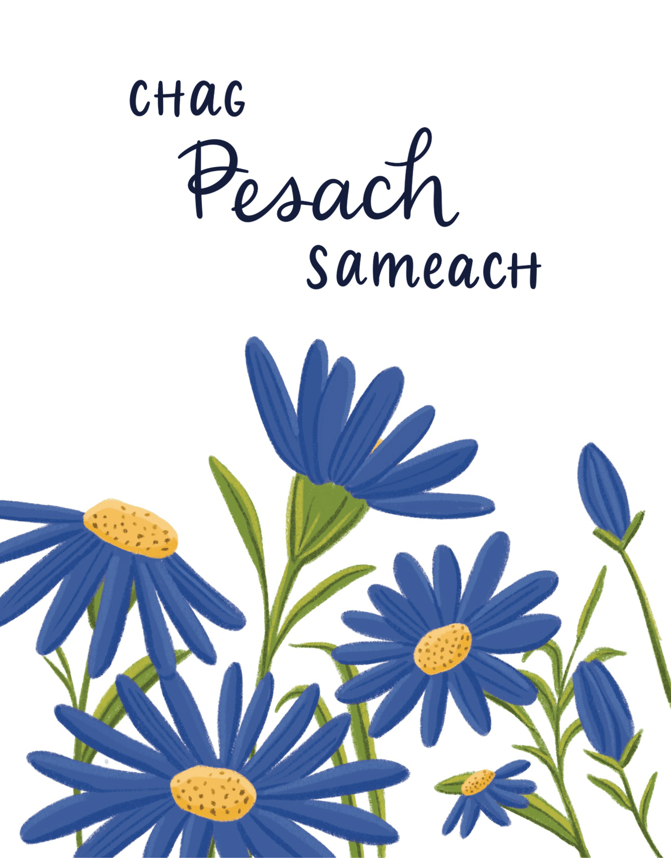Chag Pesach Sameach Happy Passover