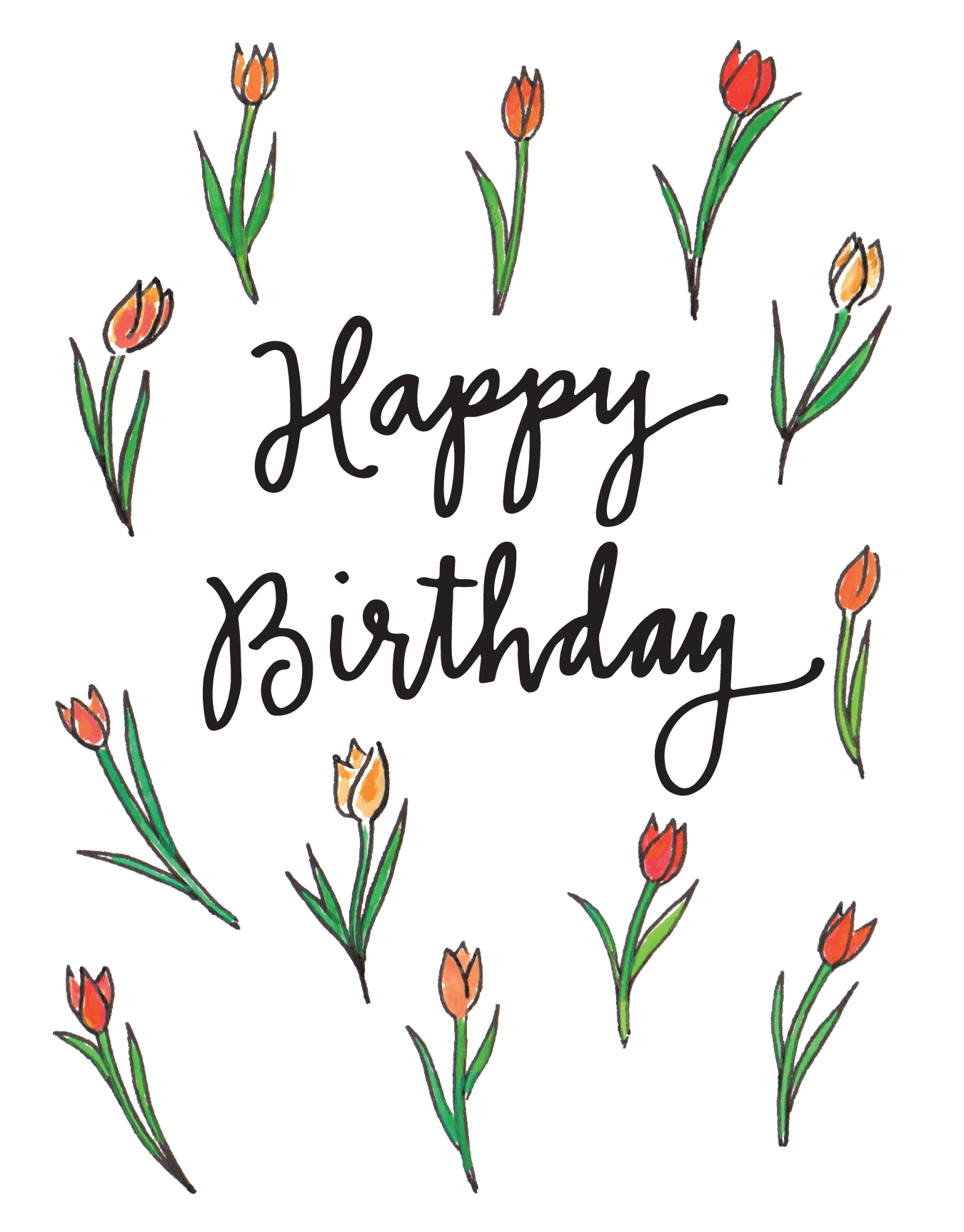 Tulip Bday