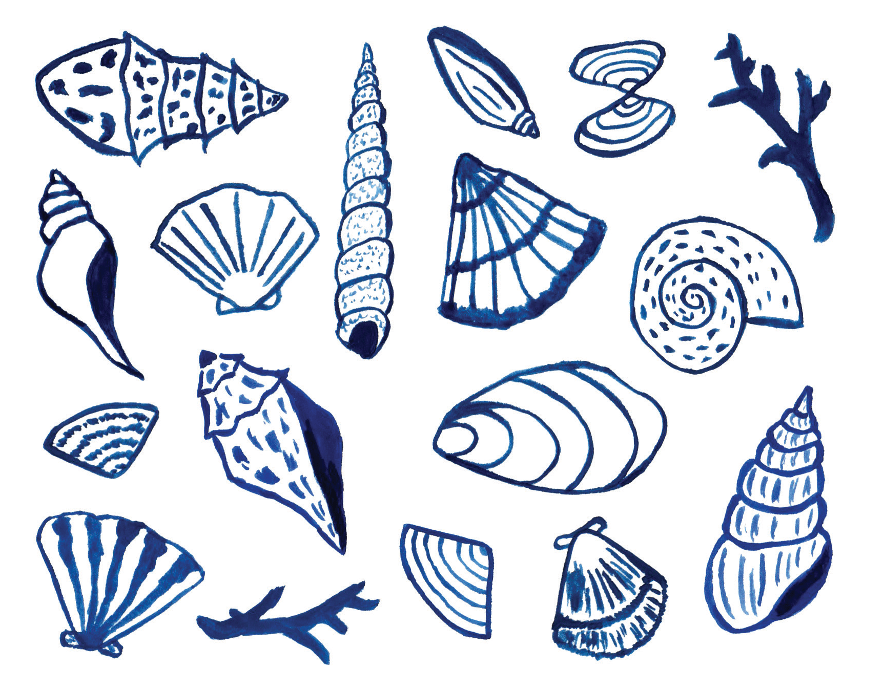 Shells