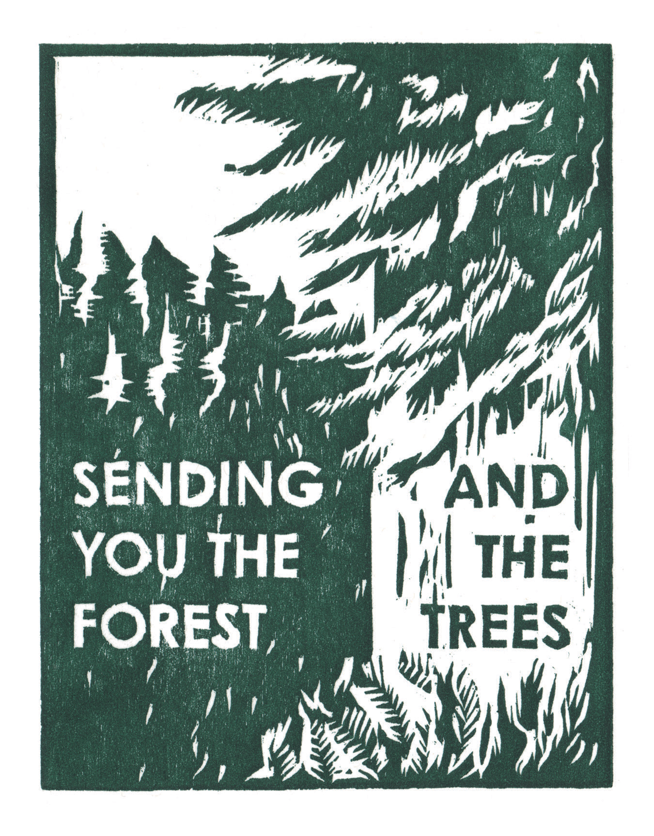 Forest And Trees