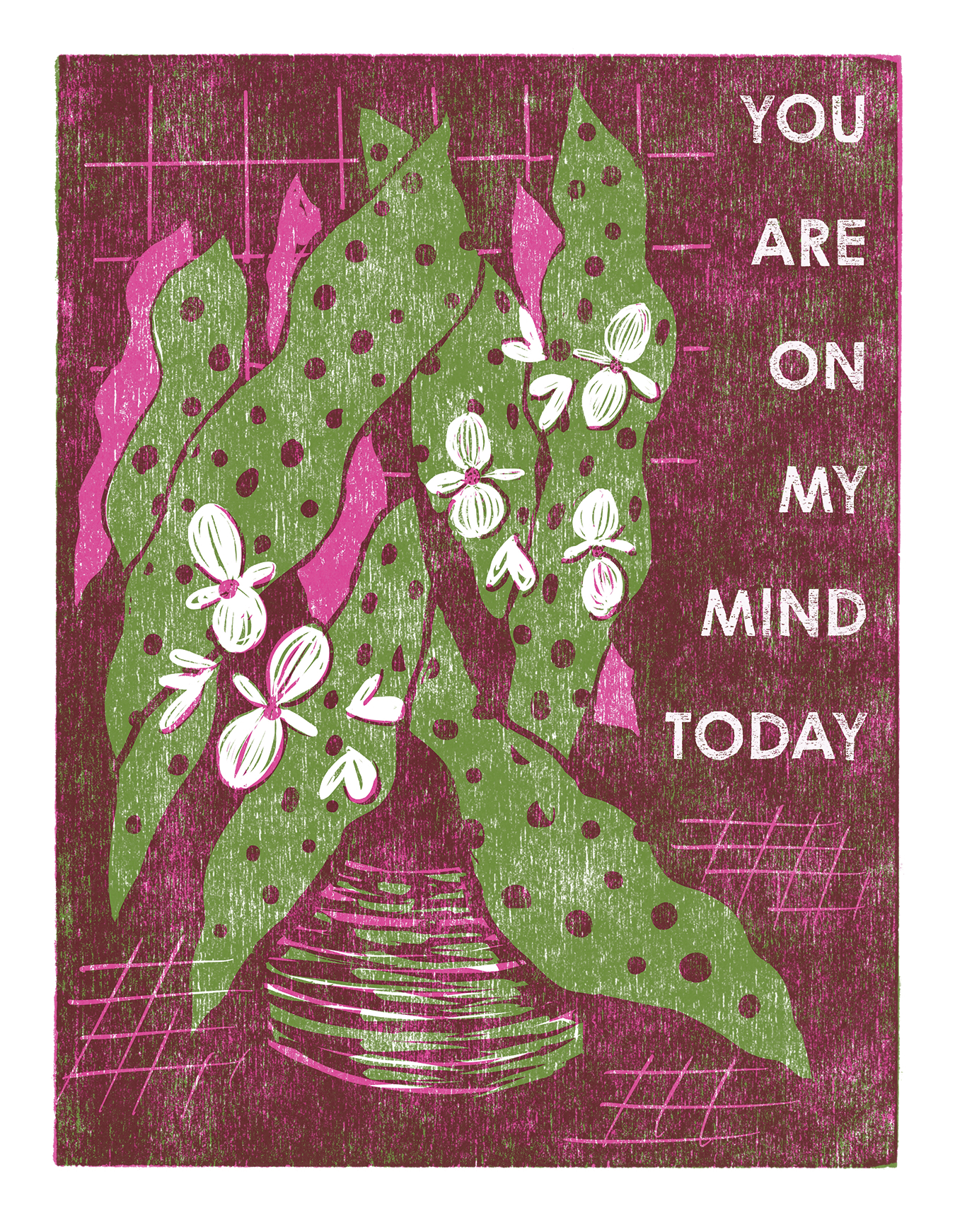 On My Mind Begonias 