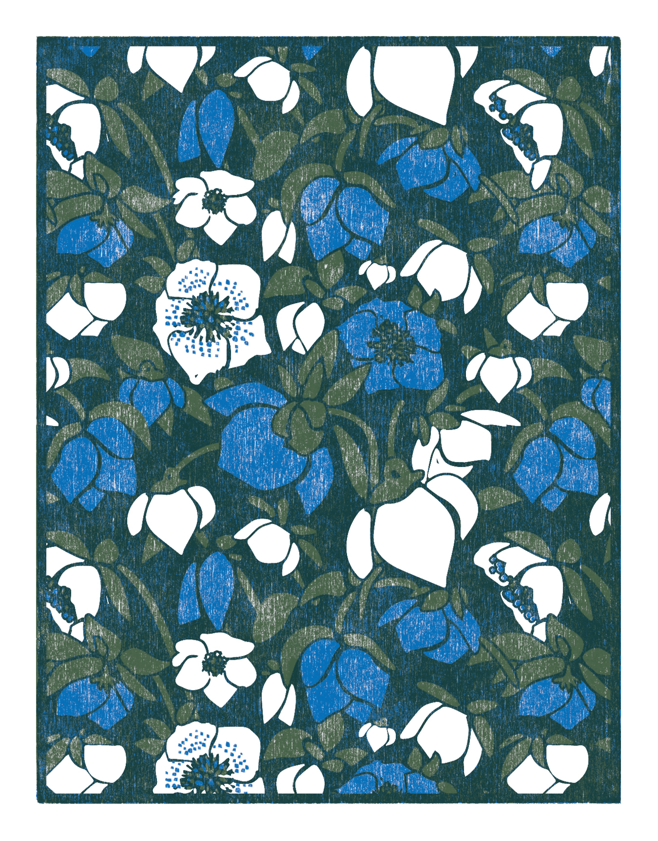 Hellebore Blue