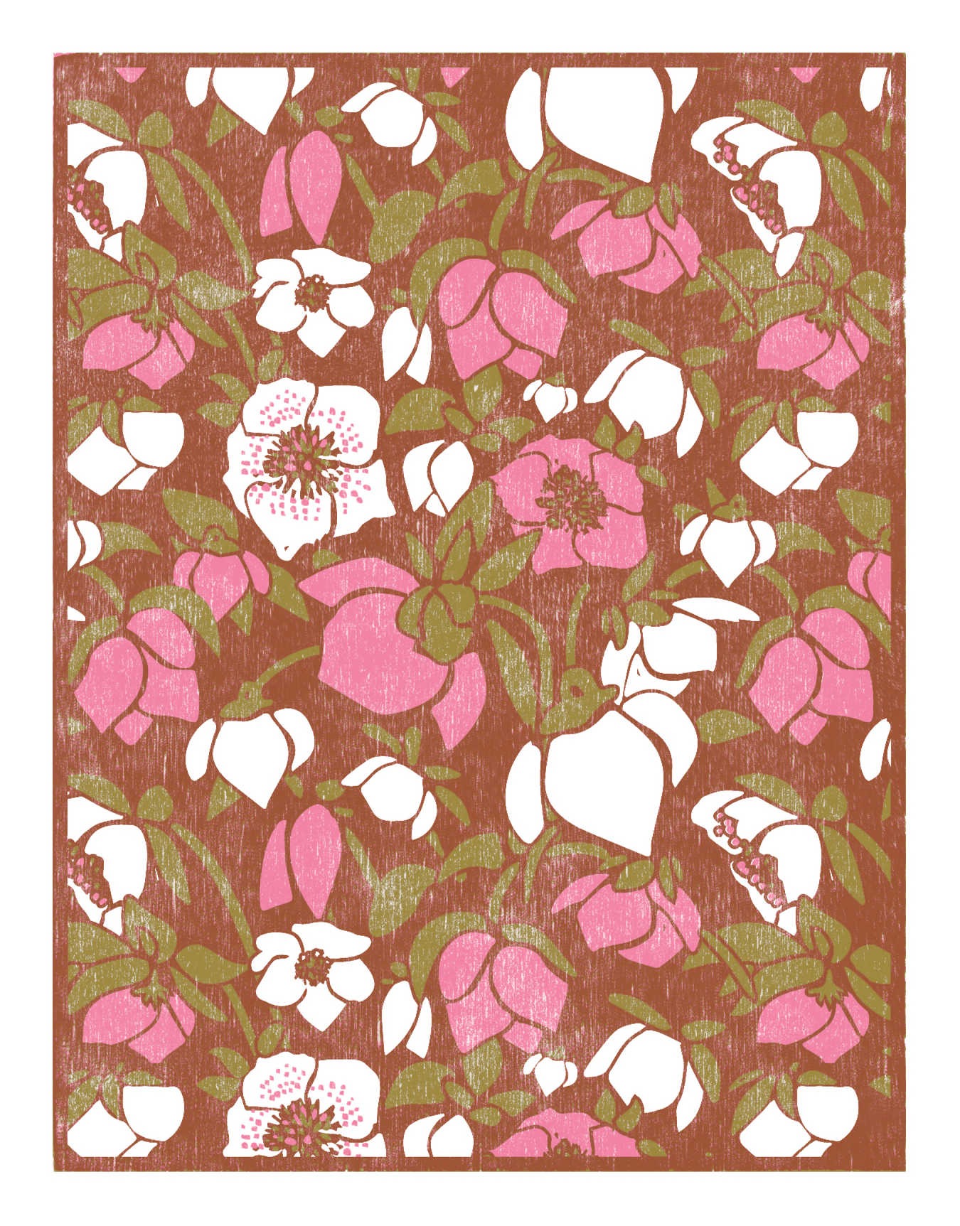 Hellebore Pink