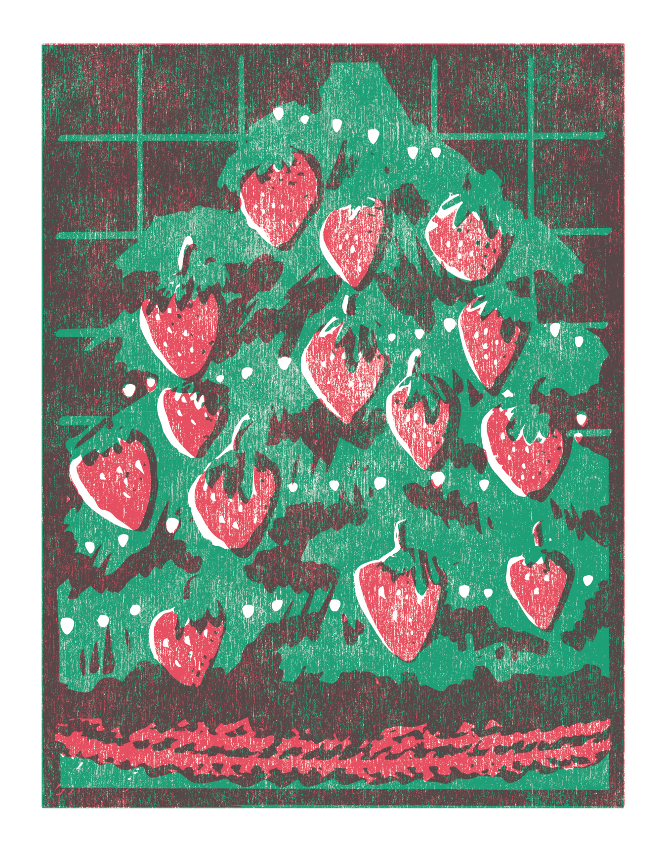 Strawberry Tree