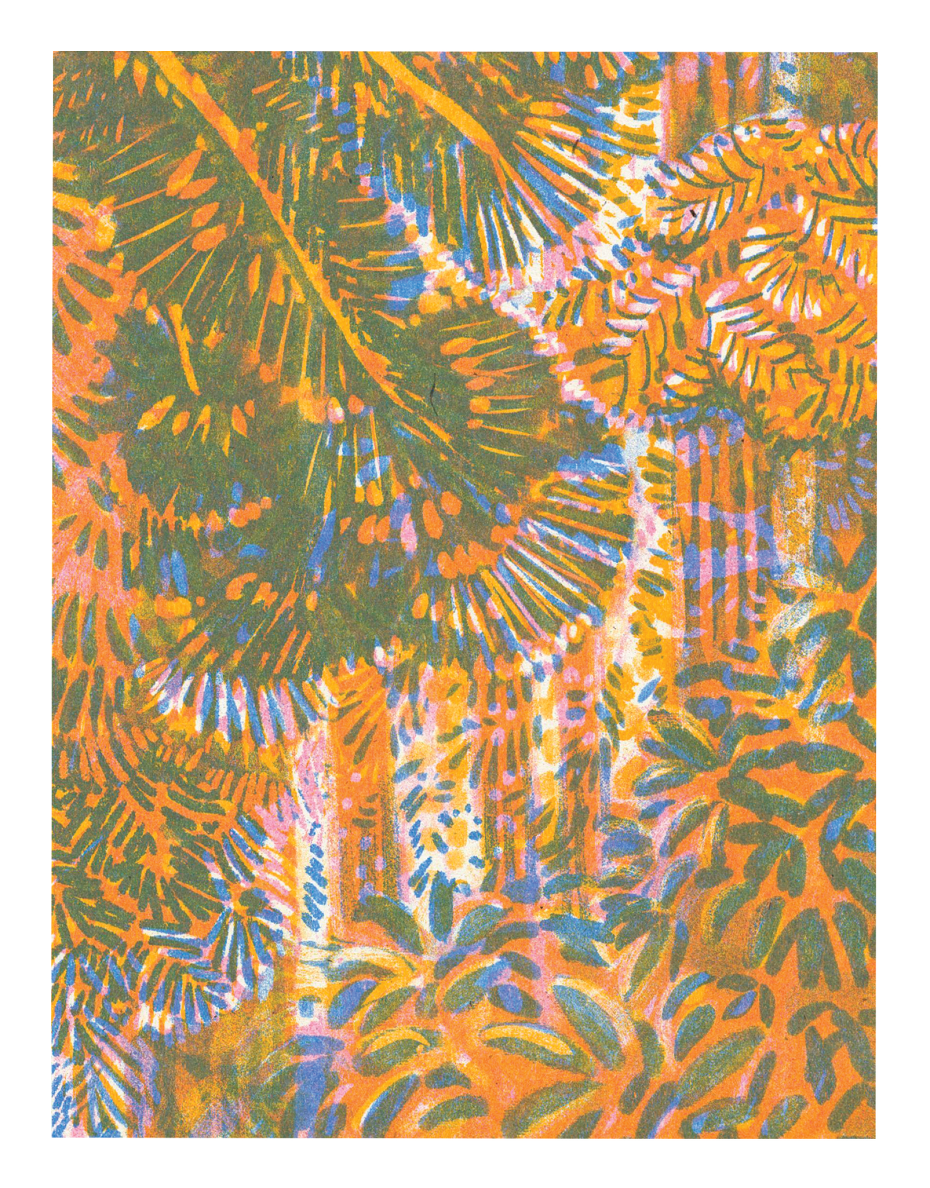 Redwood Dream