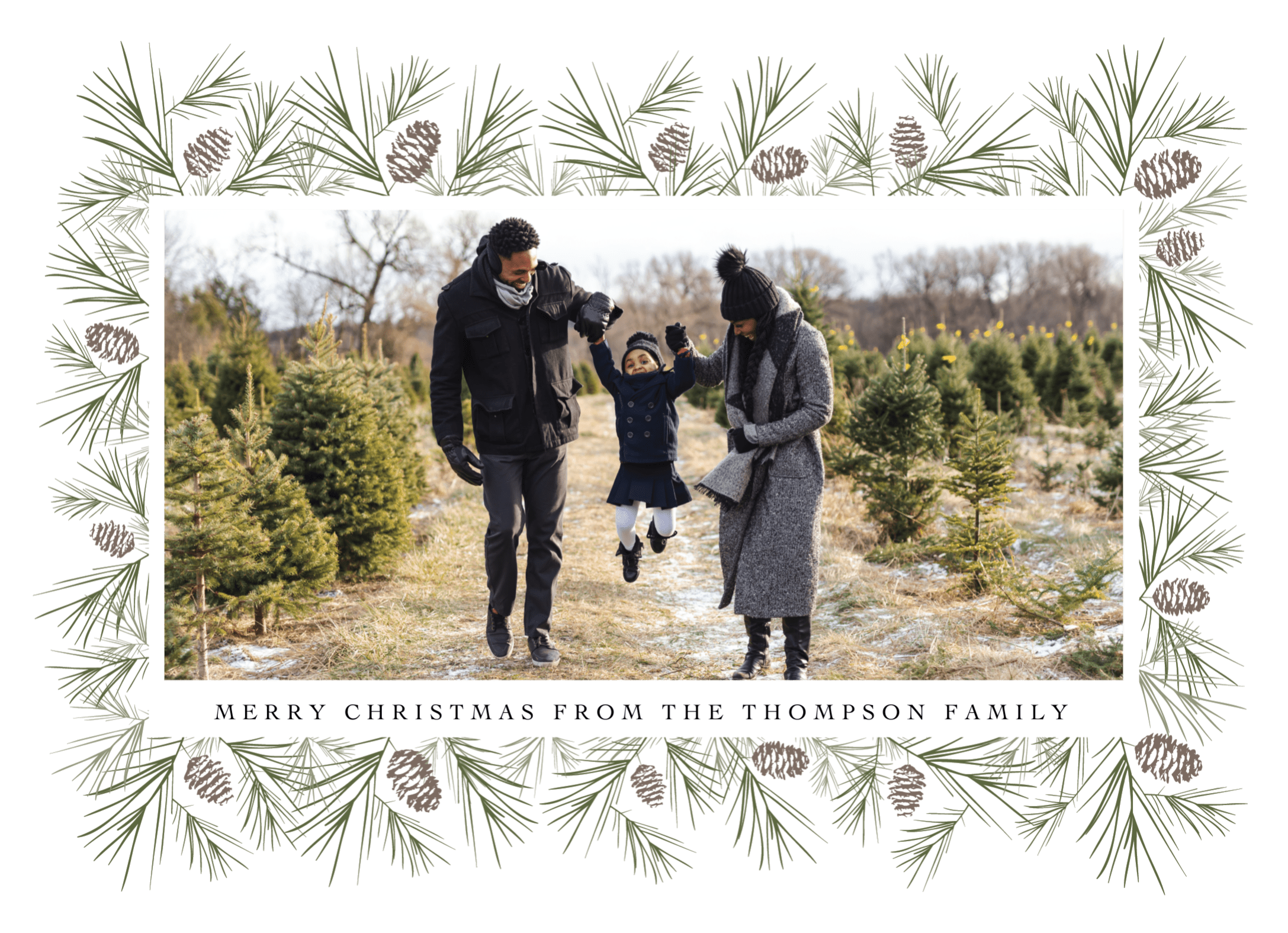 Evergreen Boughs