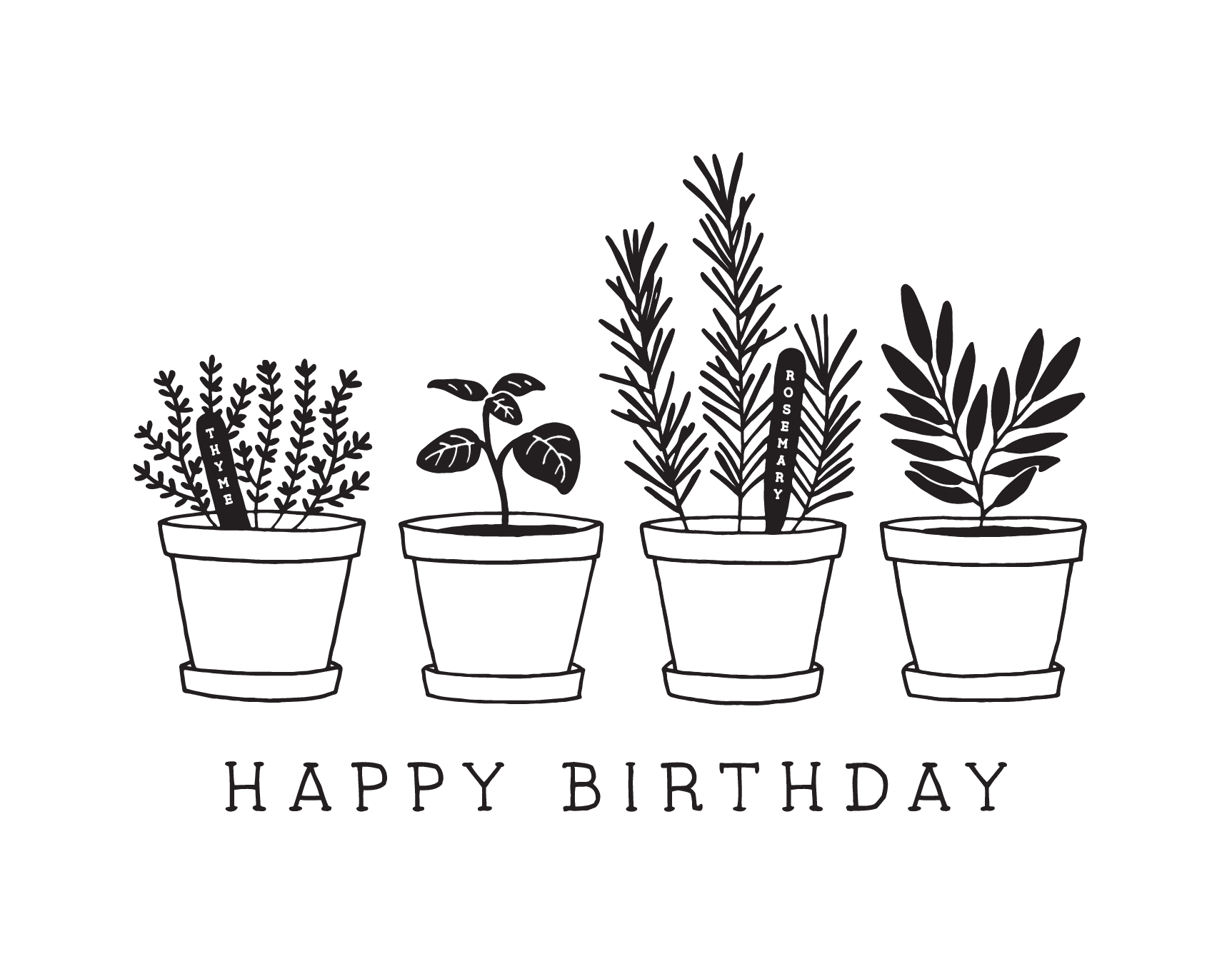 Potted Plants
