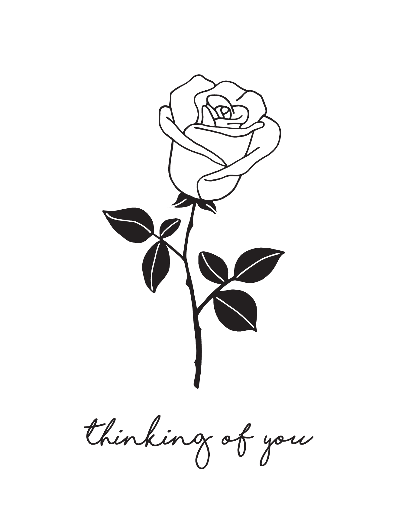 Thinking Of You Rose