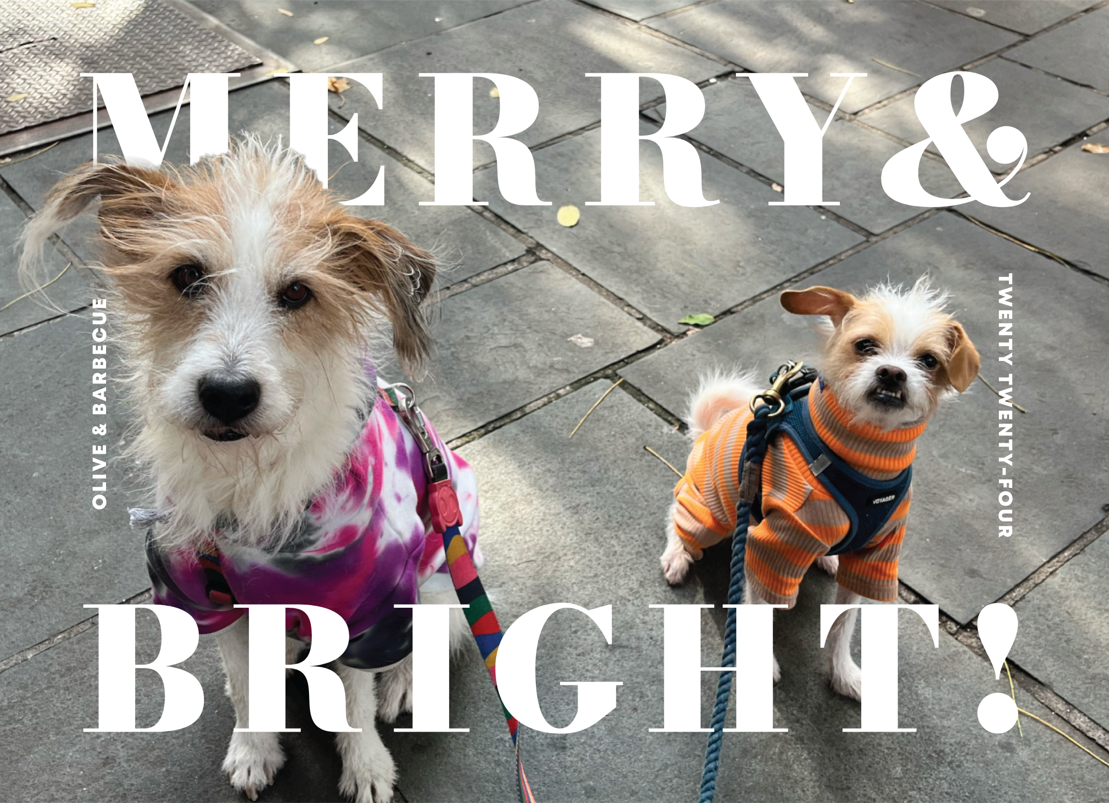 Merry & Bright Pop Out Pets