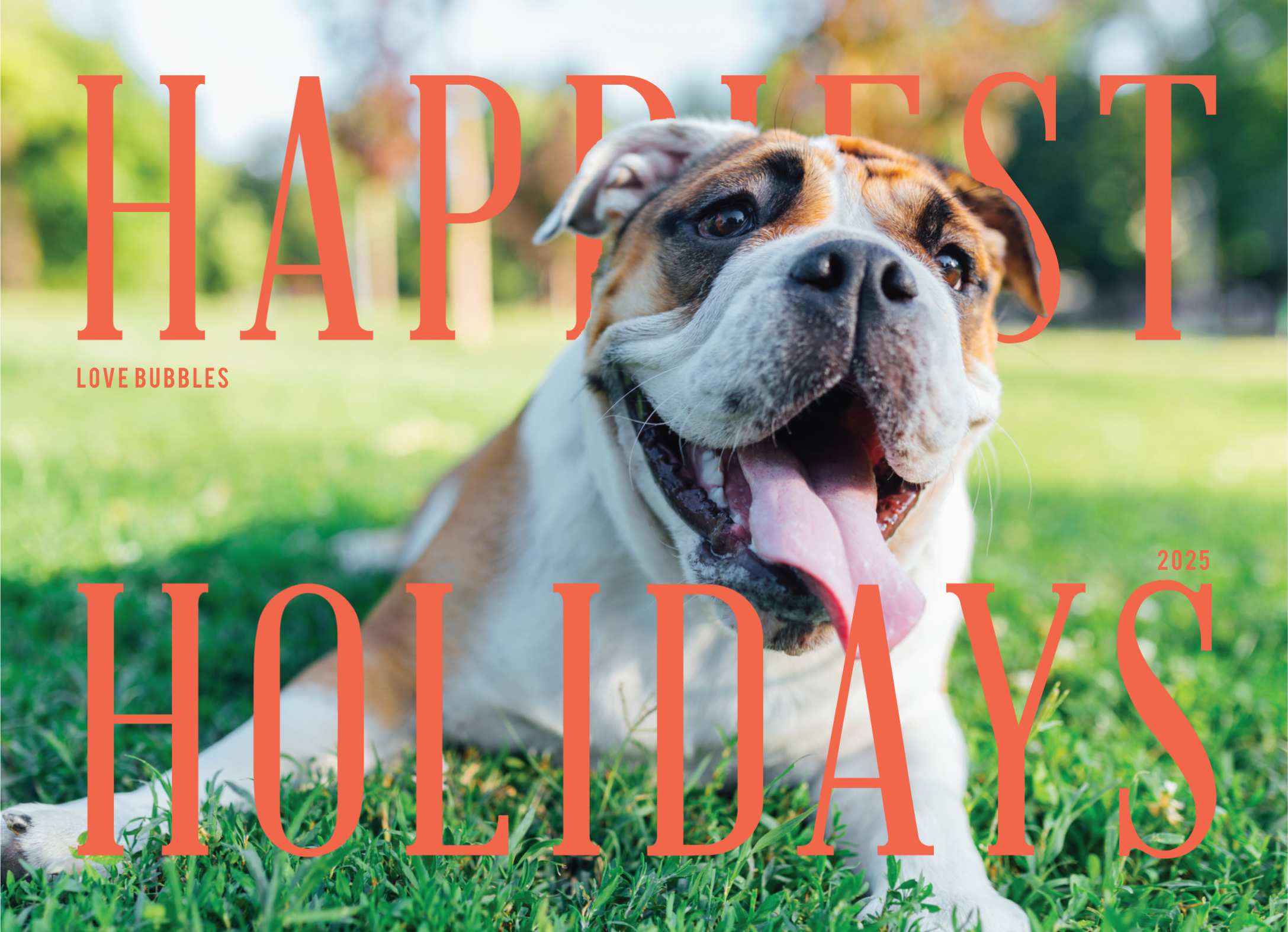 Happiest Pop Out Pets
