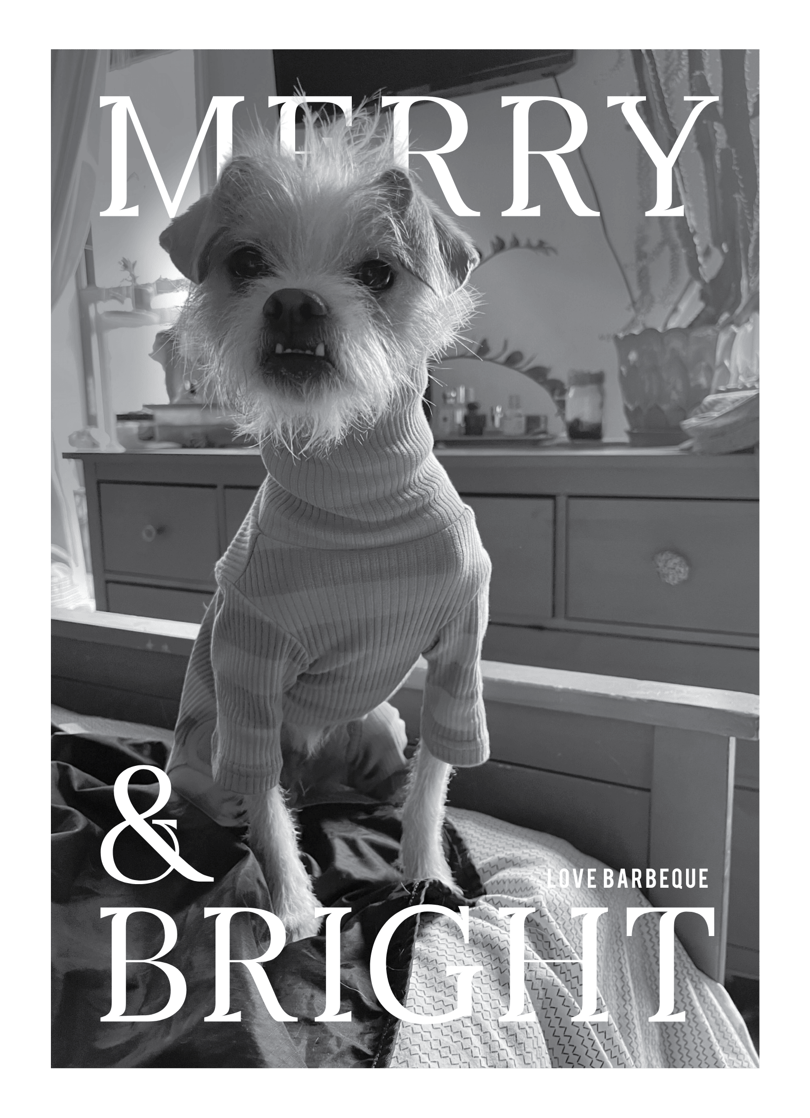 Pets Merry Pop