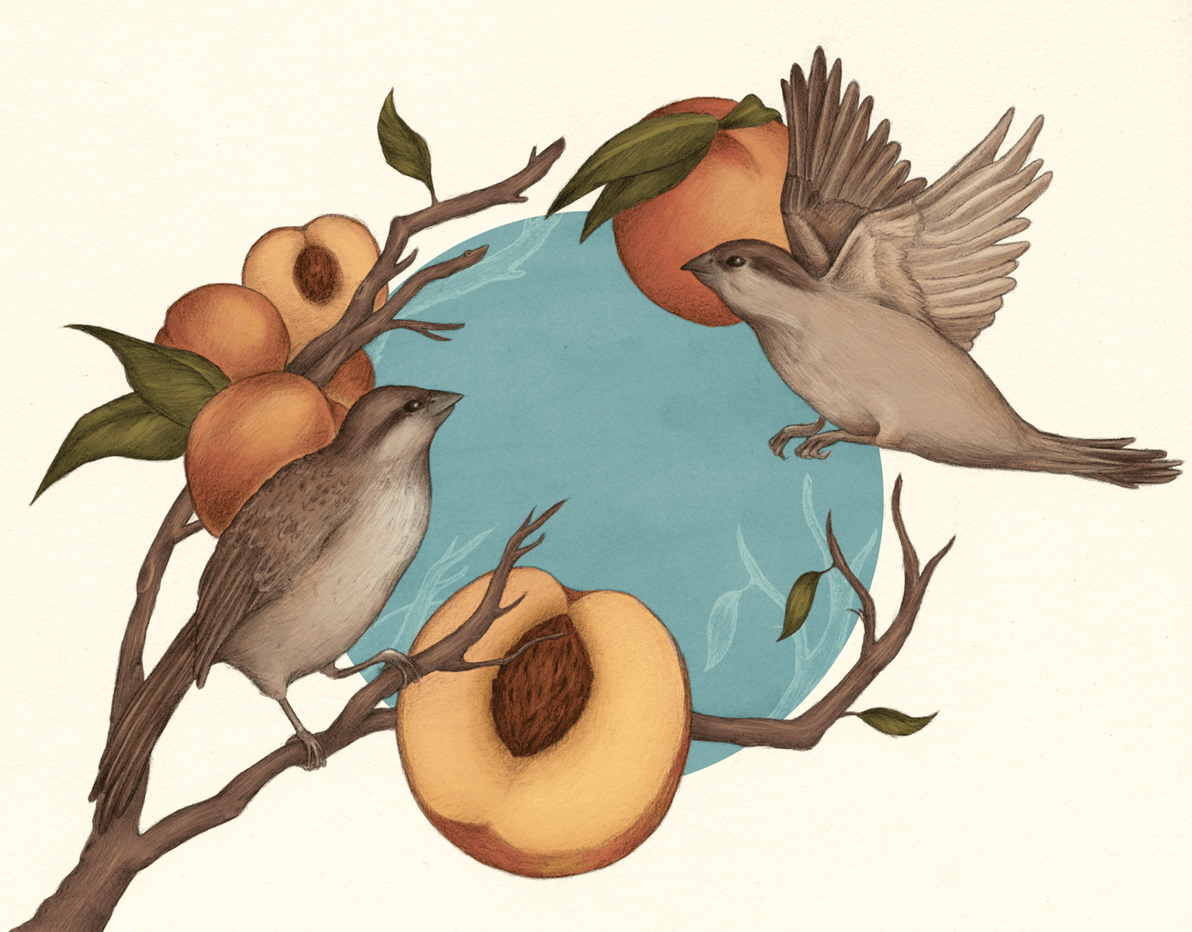 Birds and Peaches
