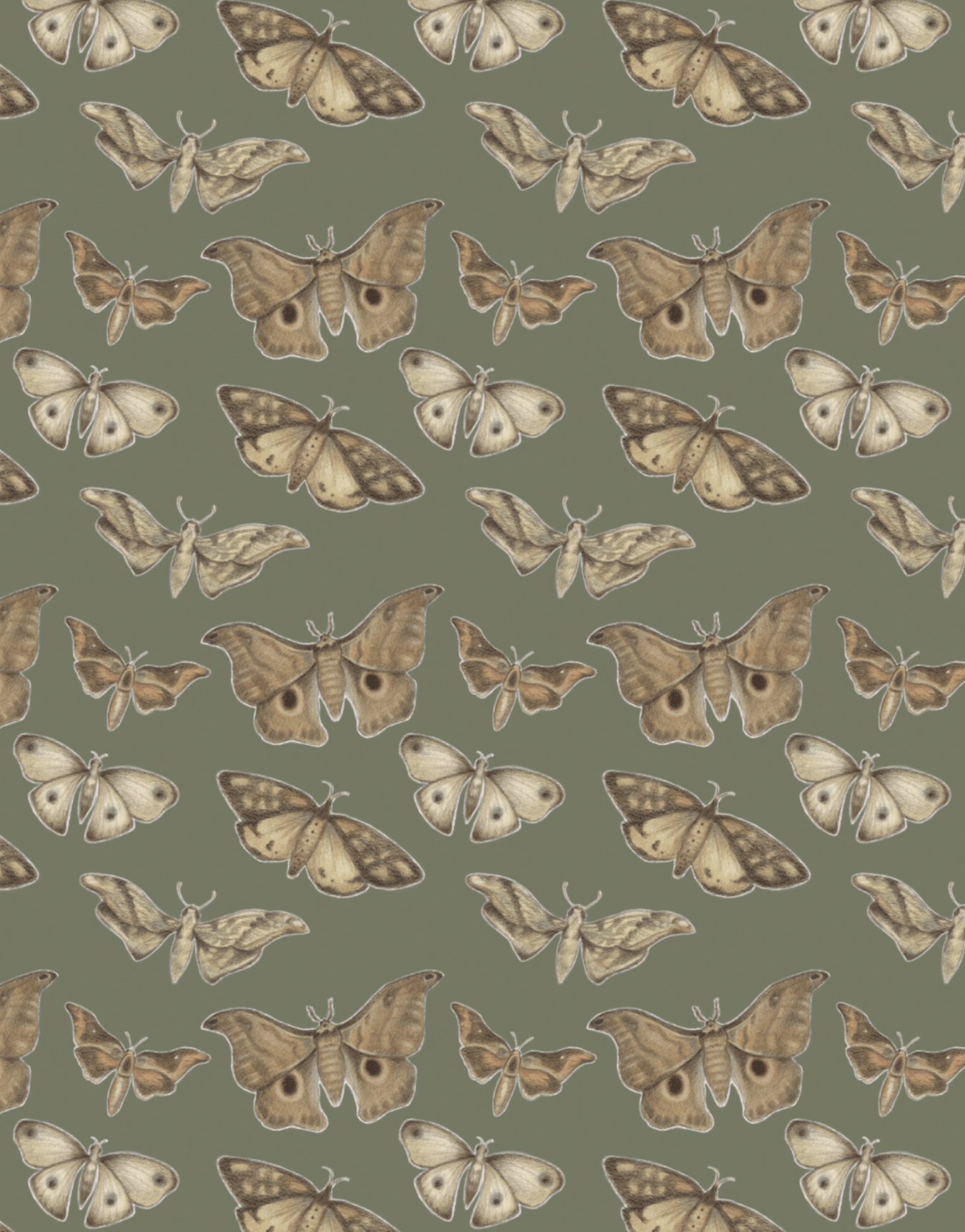 Moth Pattern