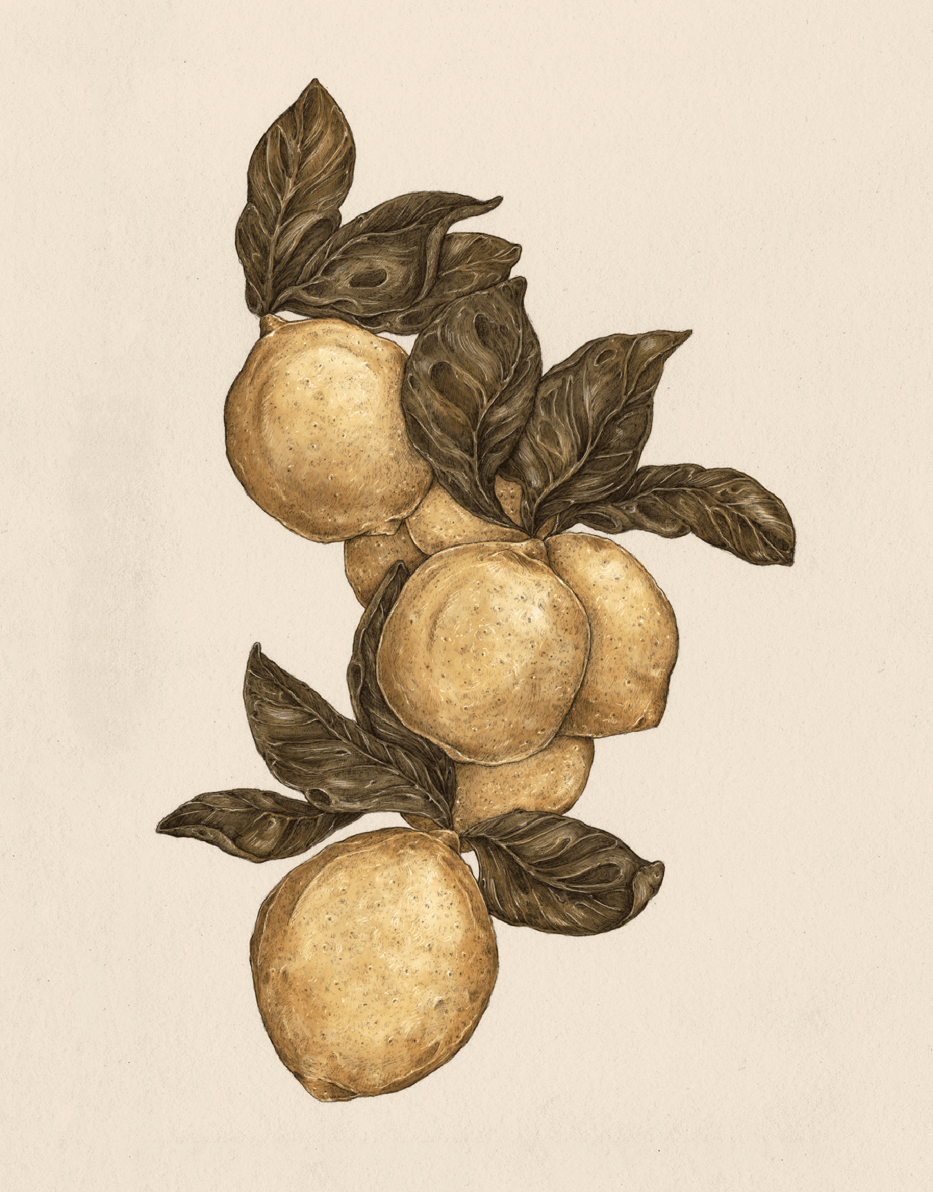 Lemons