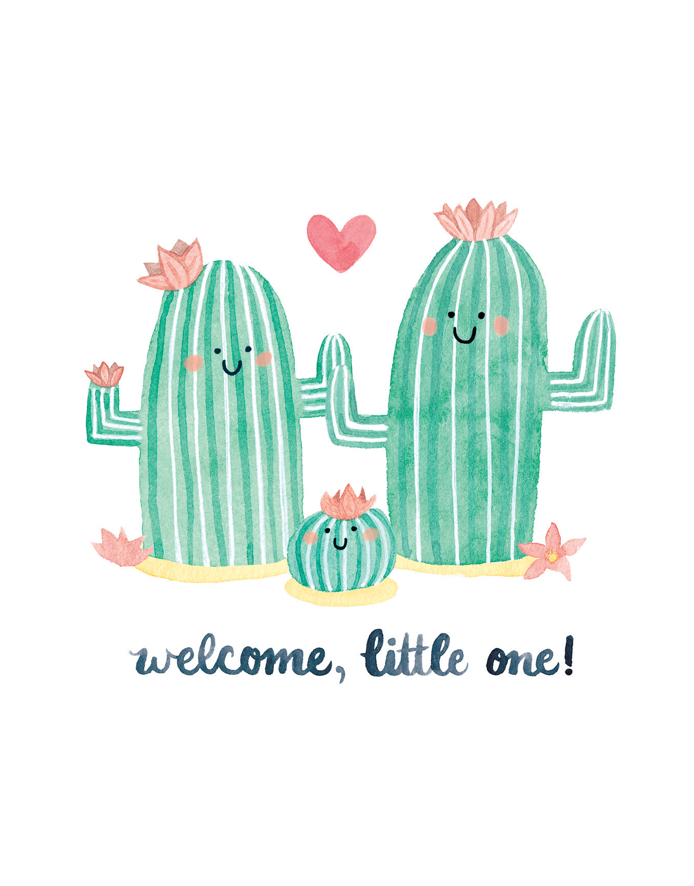 Baby Cactus