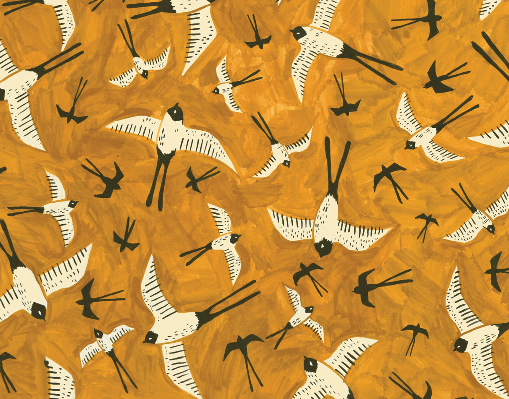 Swallows
