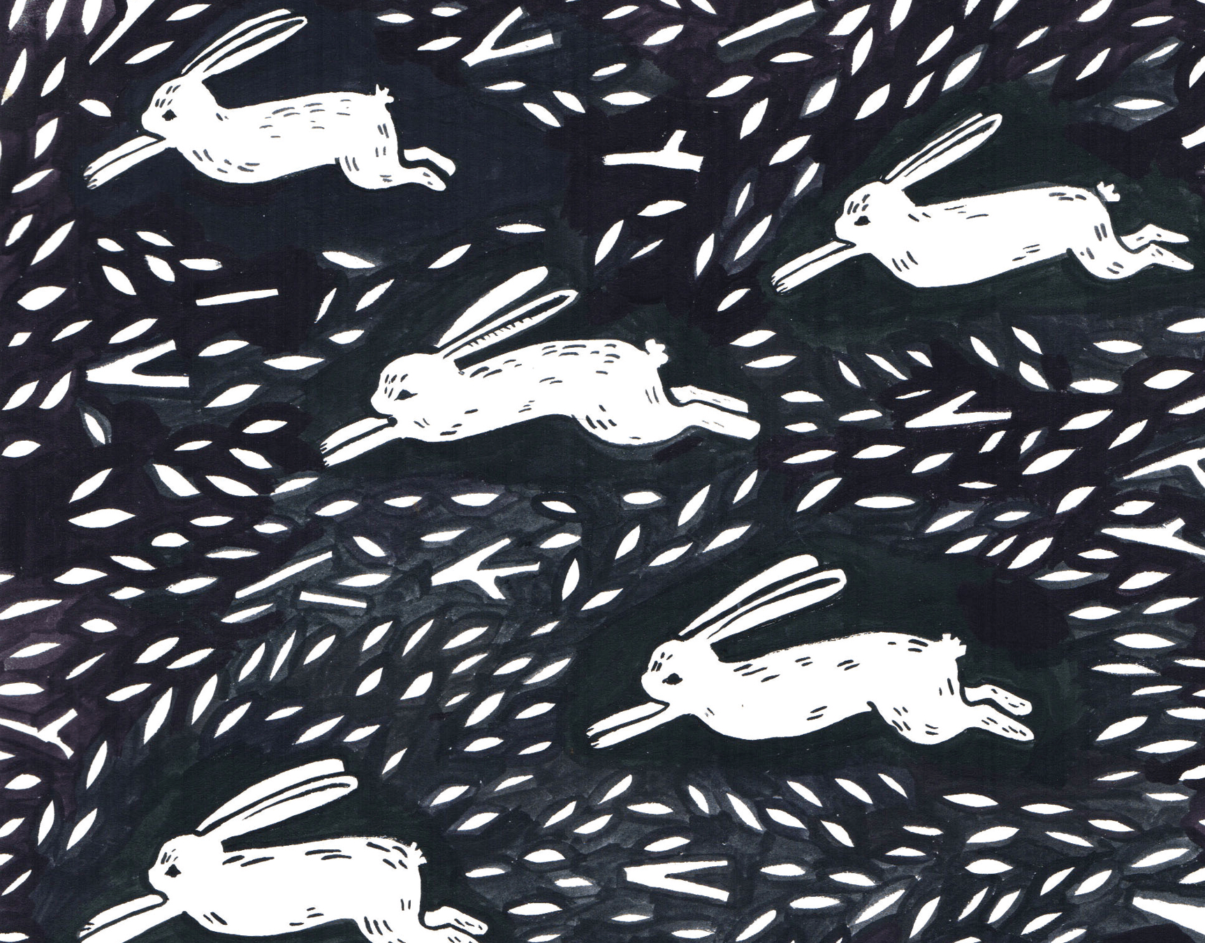 Rabbit Run