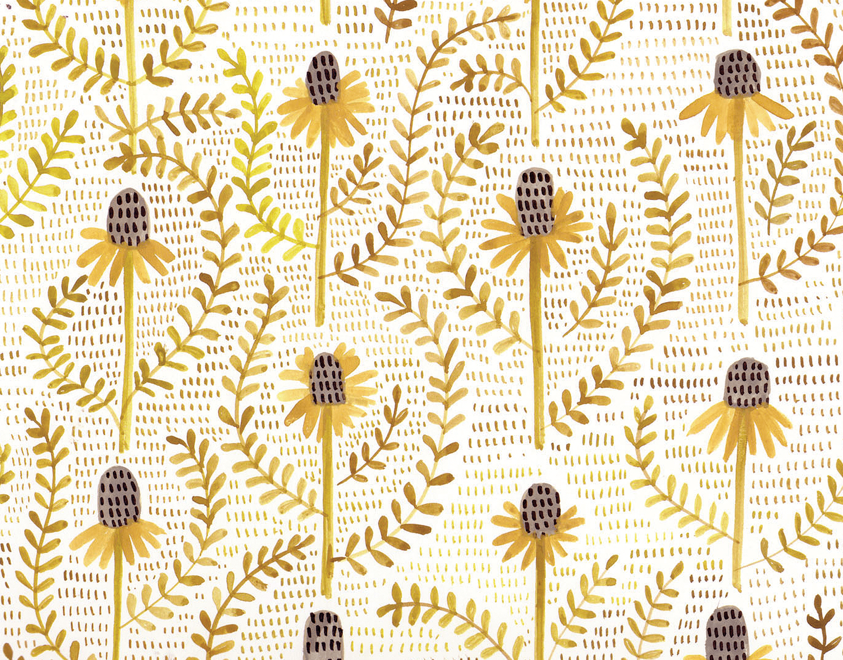 Straw Flowers