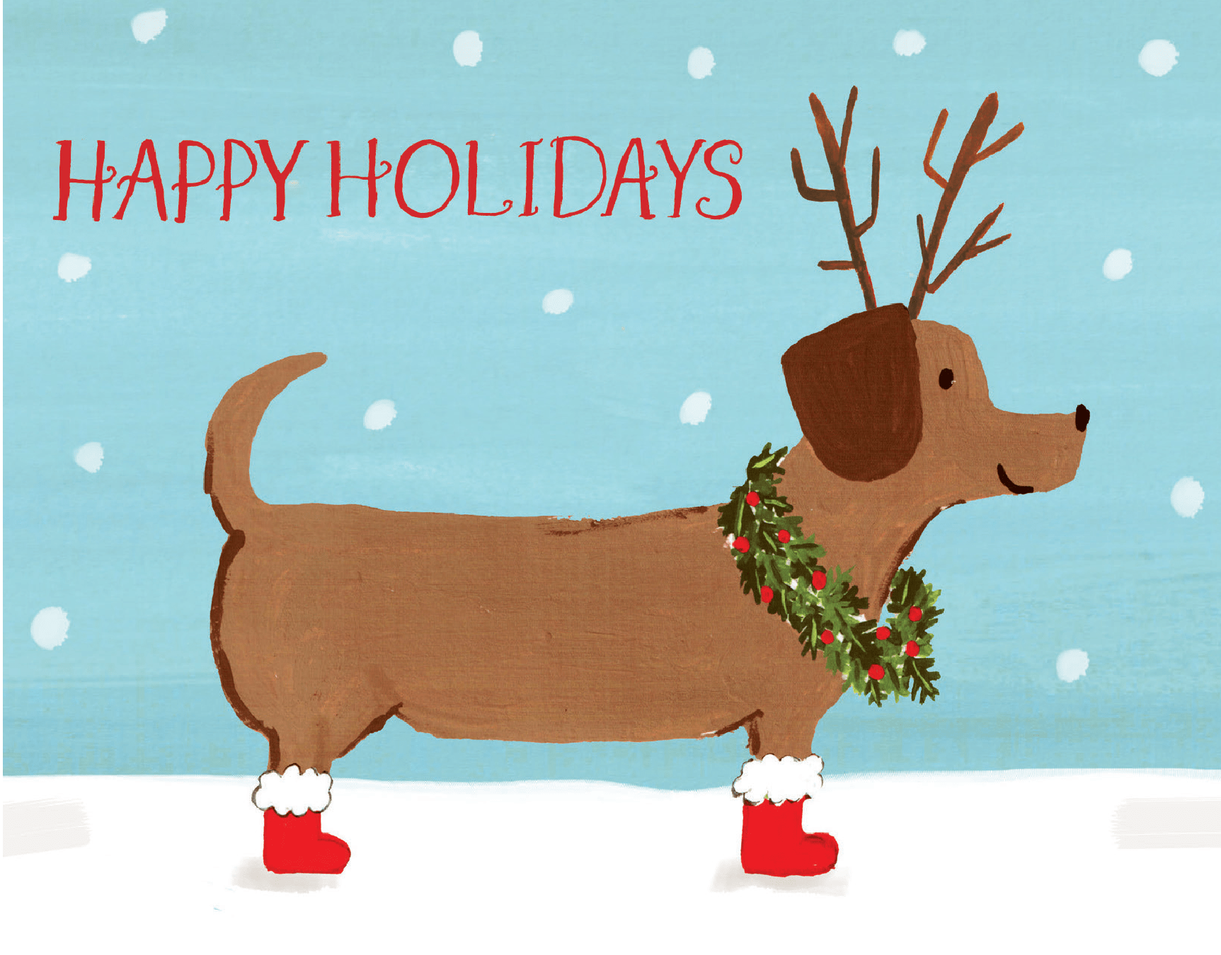 Dachshund