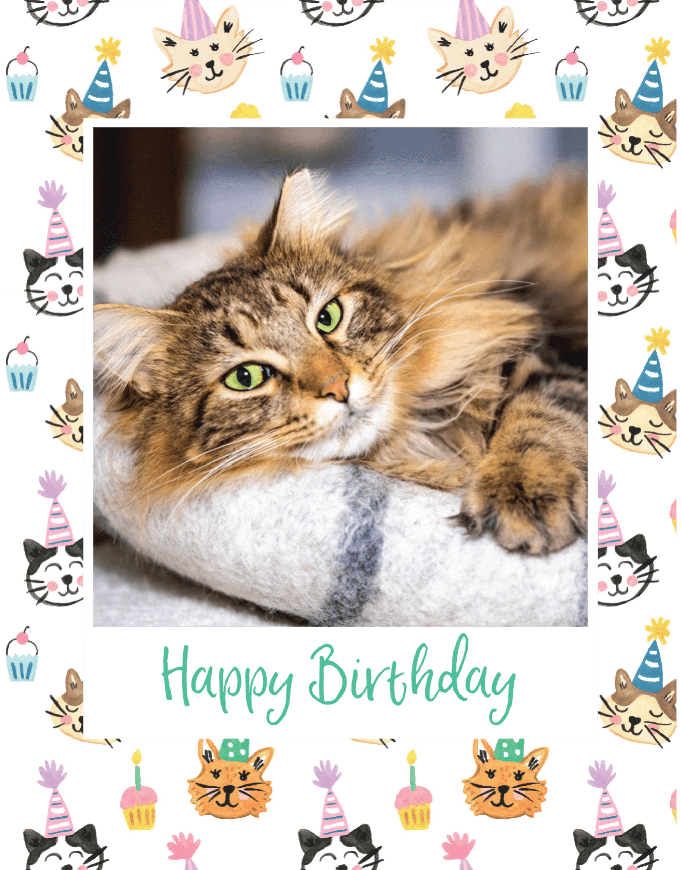 Cat Happy Birthday