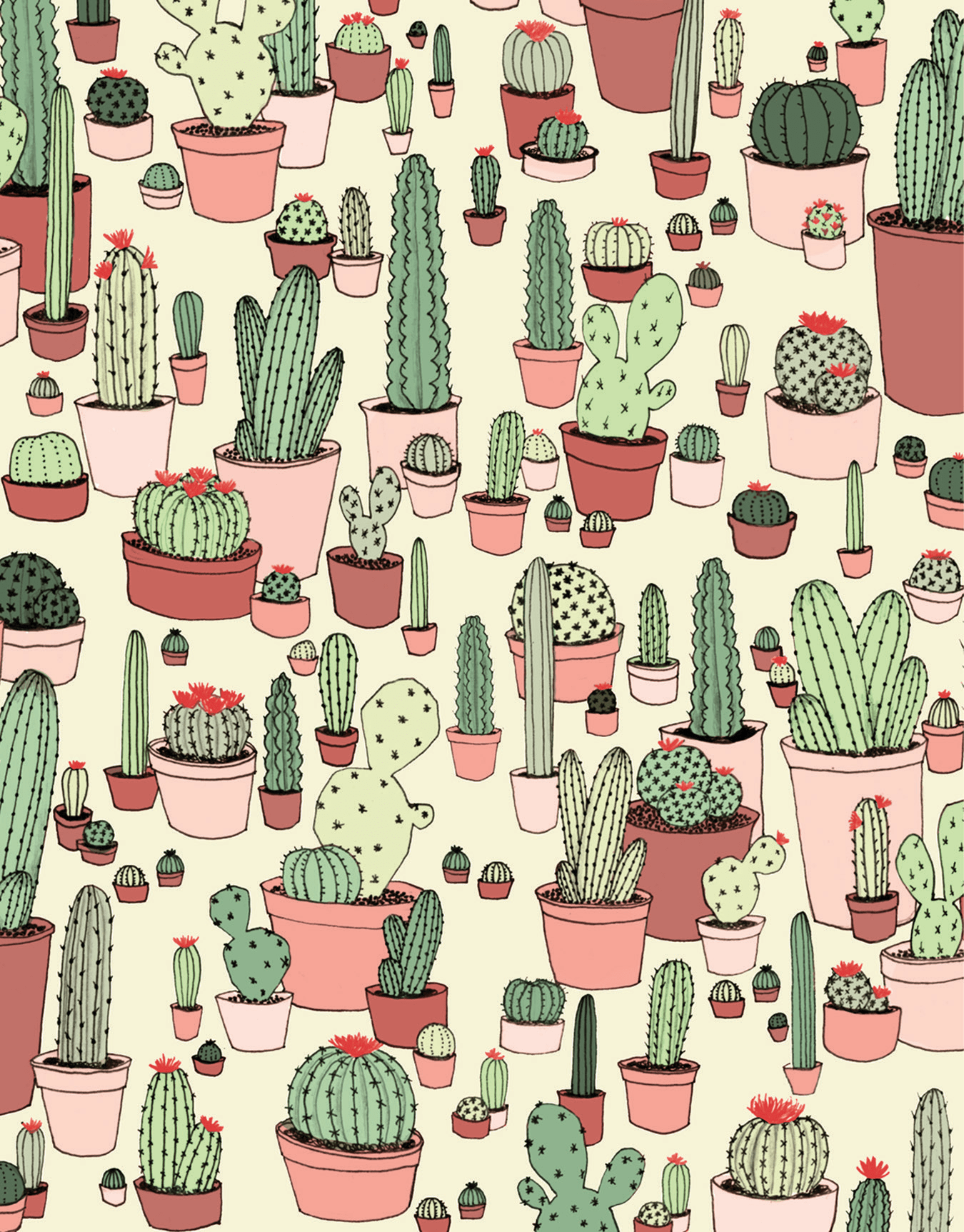 Cactus Pattern