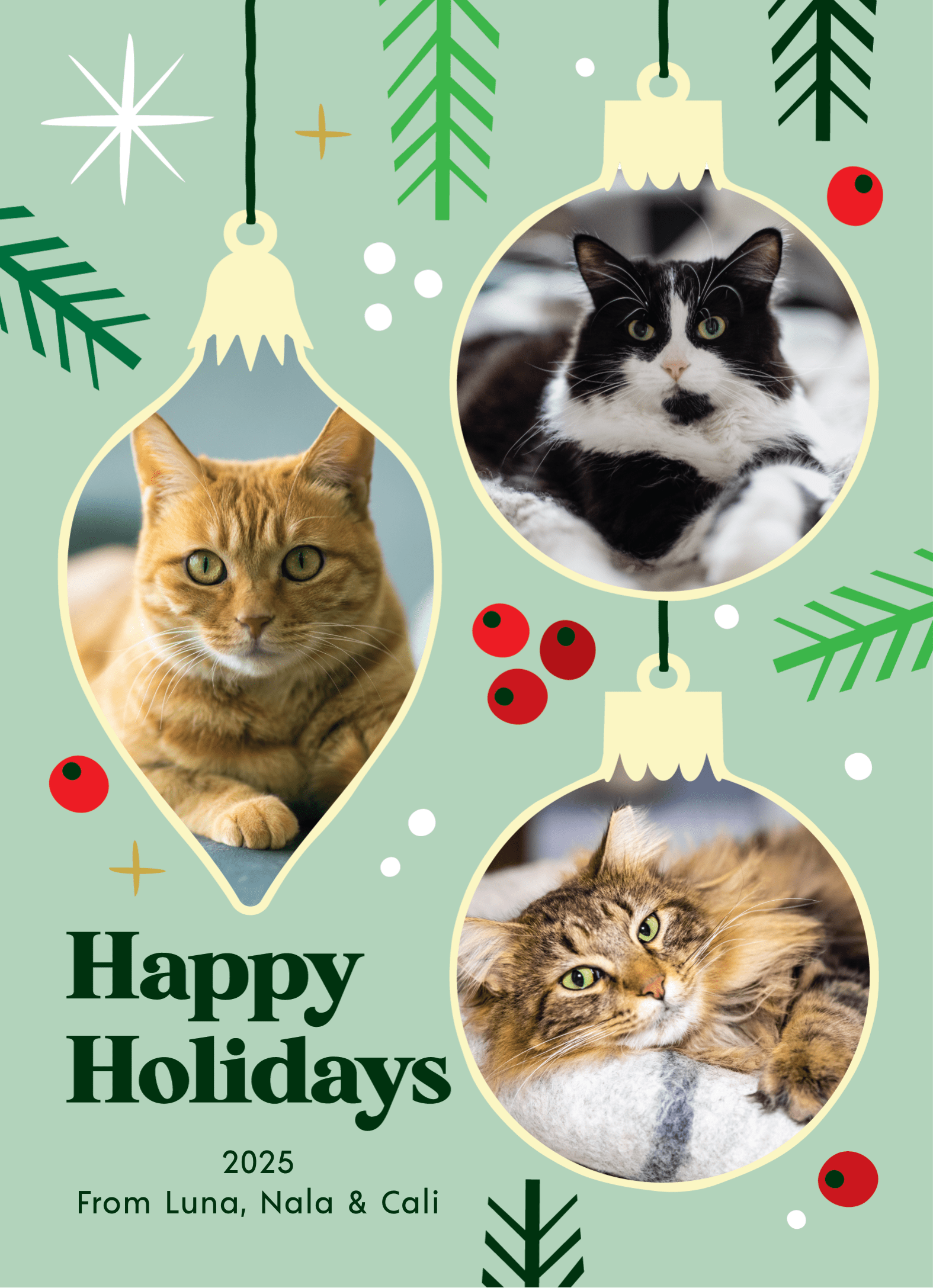 Holiday Pet Ornaments